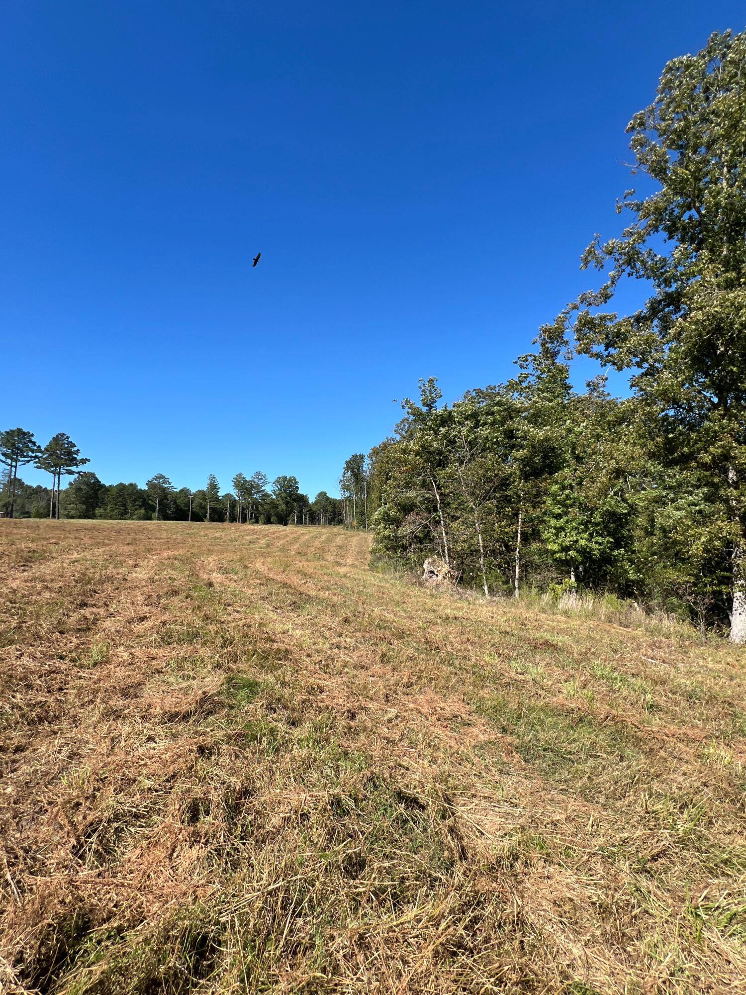 Photo 100 - Land for sale – 34771  Mo-14   Ava, MO