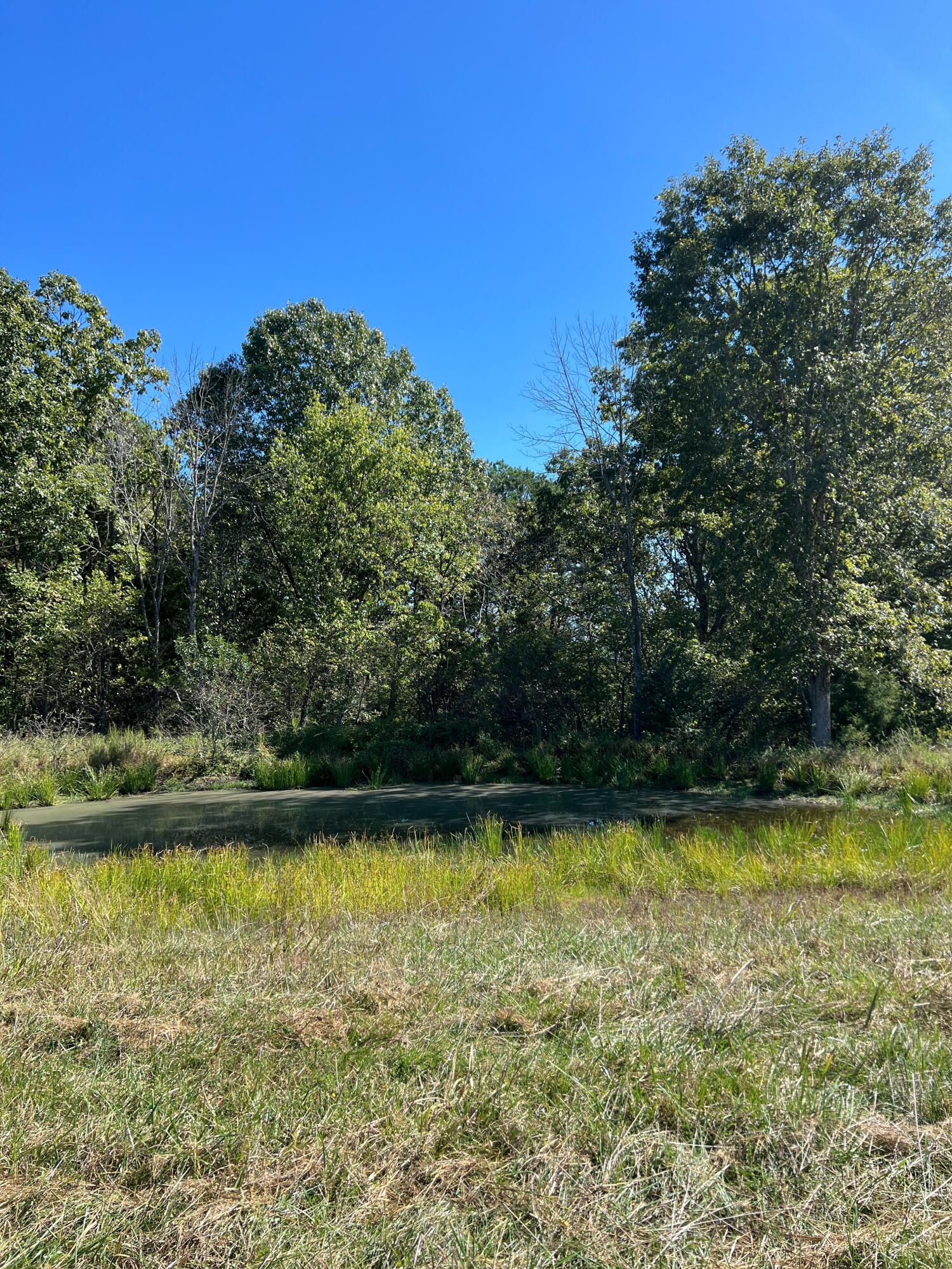 Photo 116 - Land for sale – 34771  Mo-14   Ava, MO
