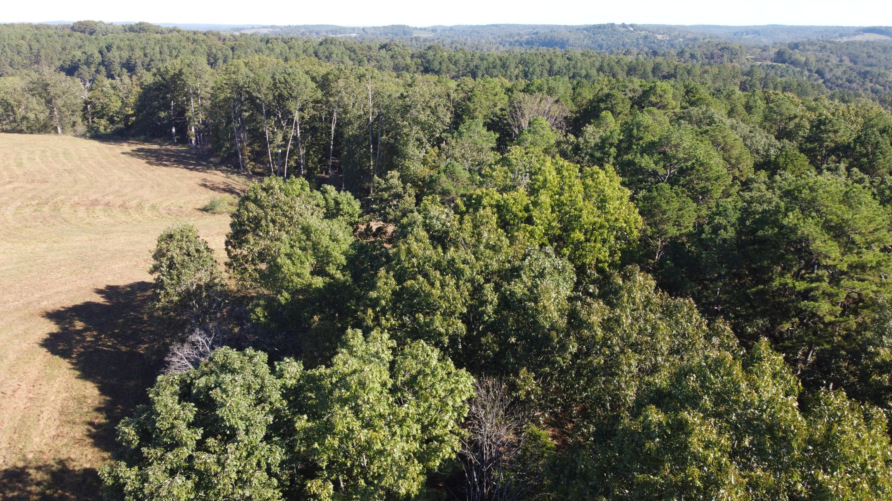 Photo 29 - Land for sale – 34771  Mo-14   Ava, MO