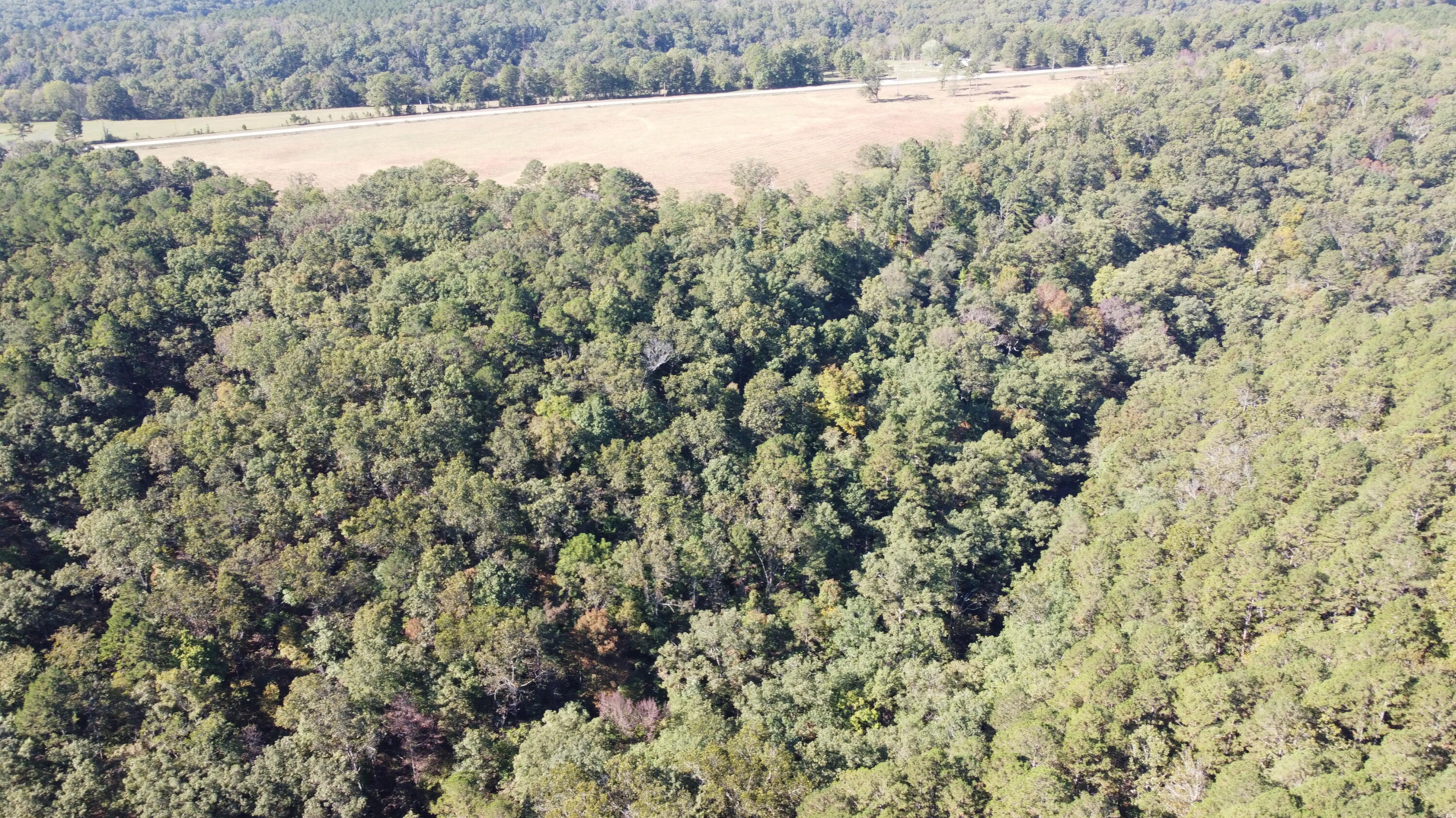 Photo 39 - Land for sale – 34771  Mo-14   Ava, MO