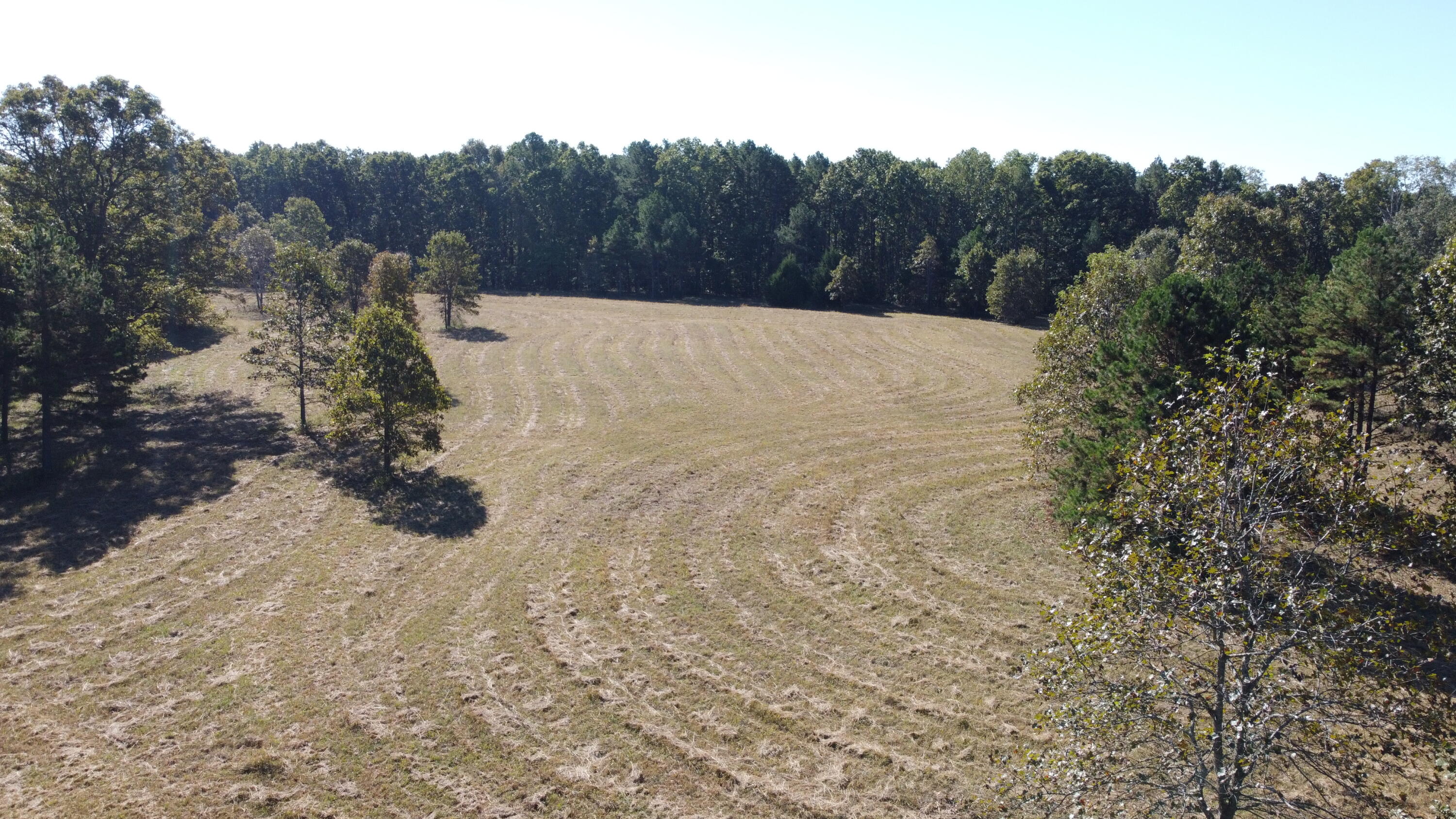 Photo 8 - Land for sale – 34771  Mo-14   Ava, MO