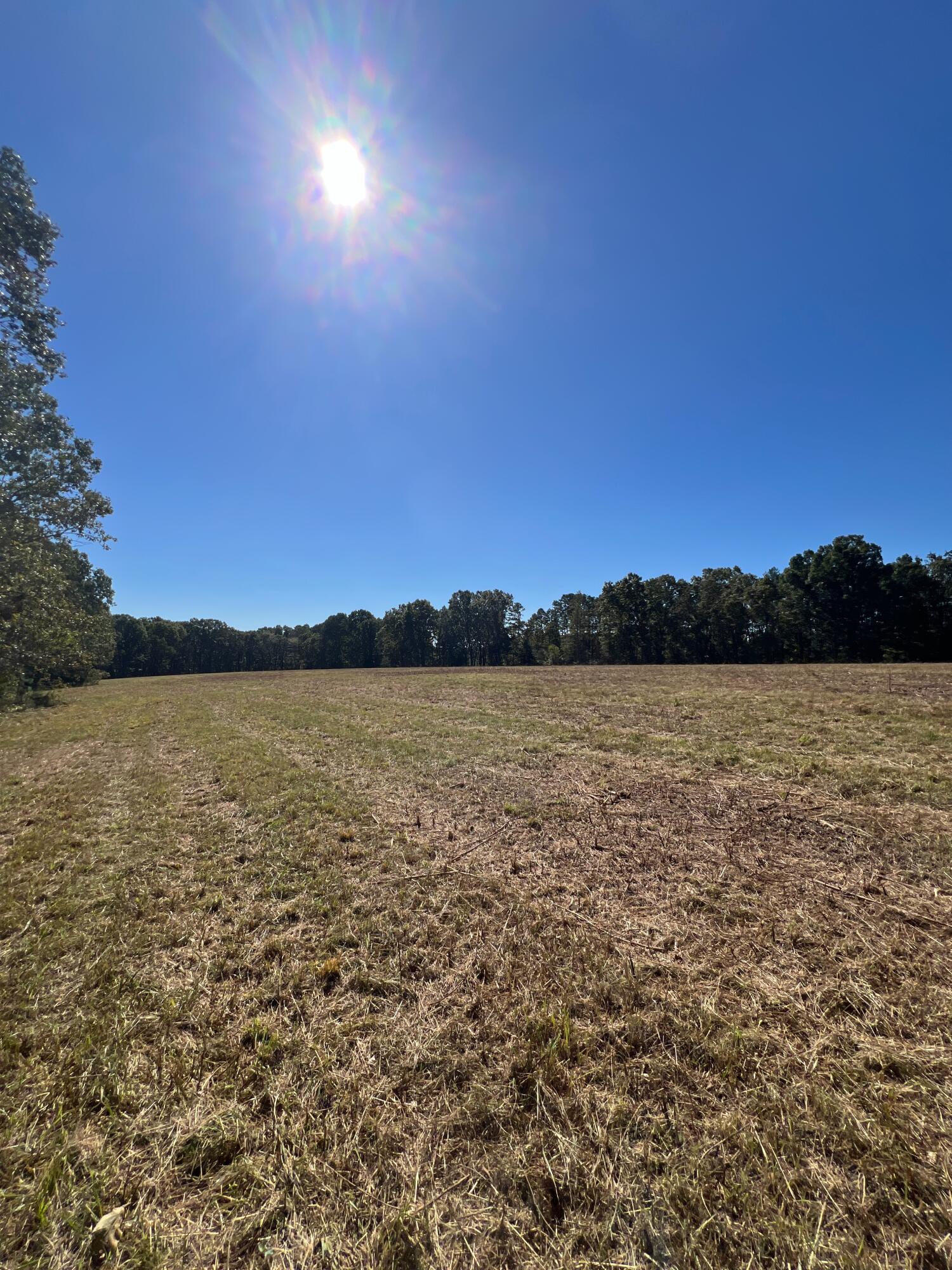 Photo 114 - Land for sale – 34771  Mo-14   Ava, MO