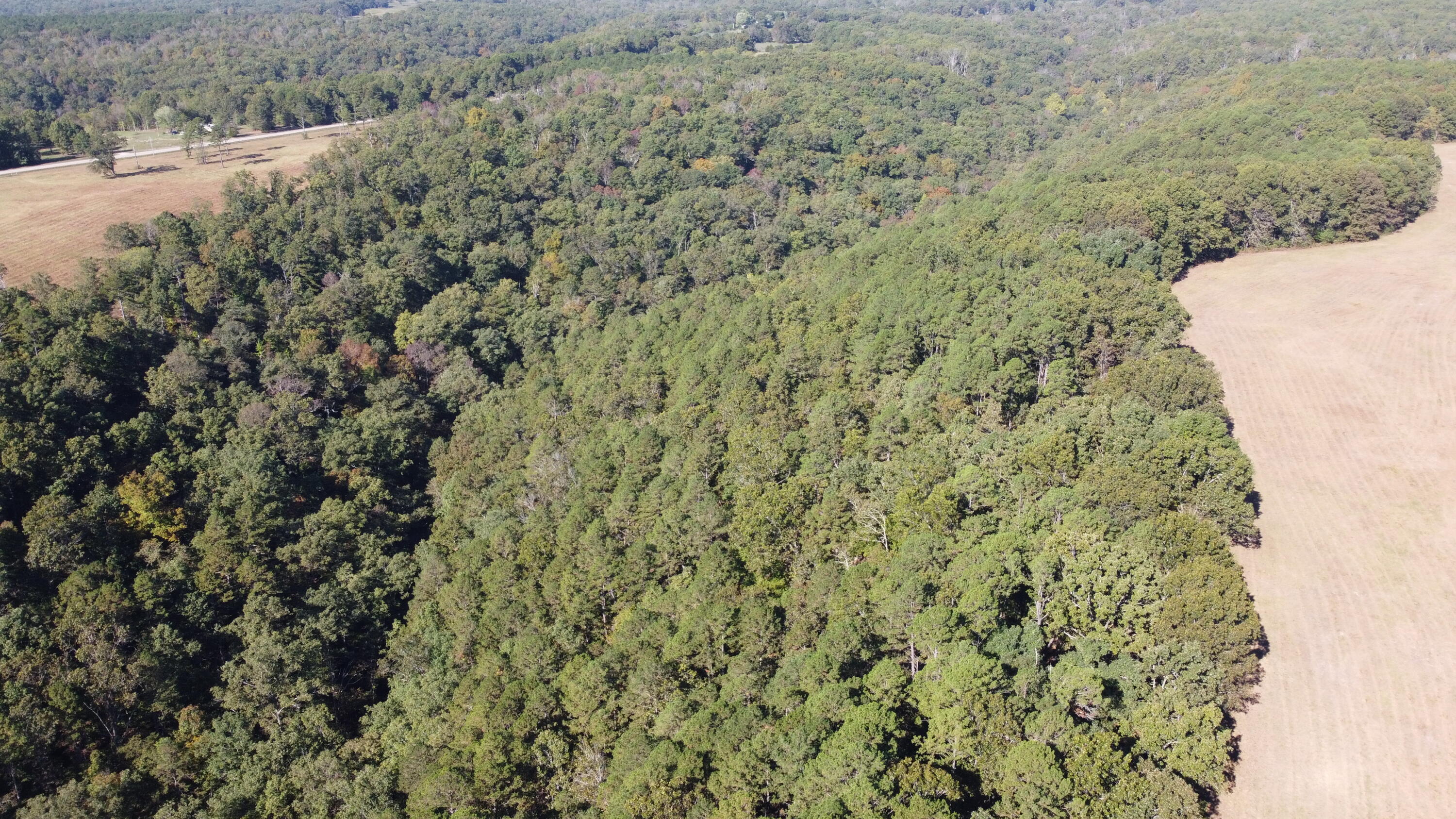 Photo 38 - Land for sale – 34771  Mo-14   Ava, MO