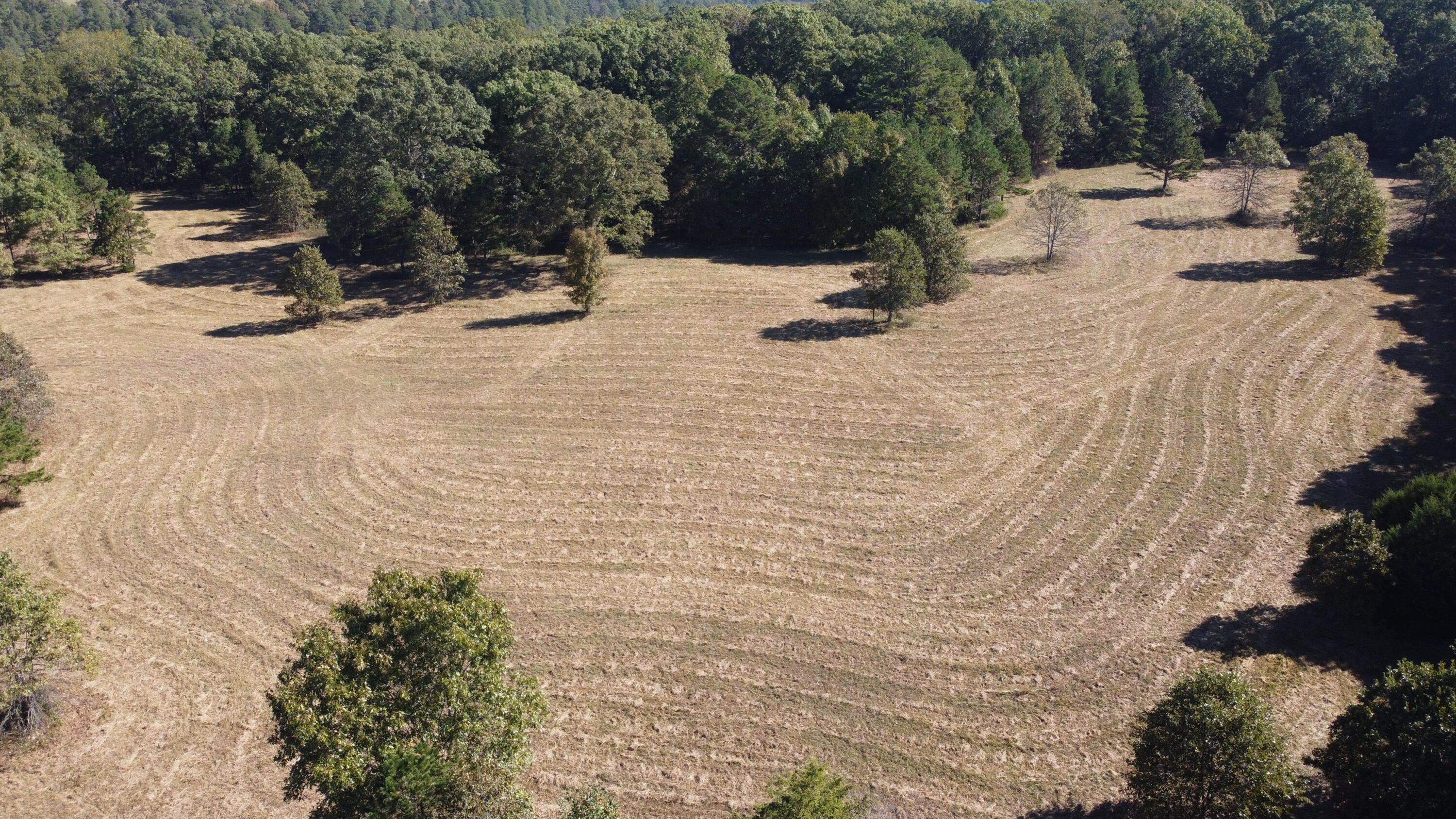 Photo 59 - Land for sale – 34771  Mo-14   Ava, MO