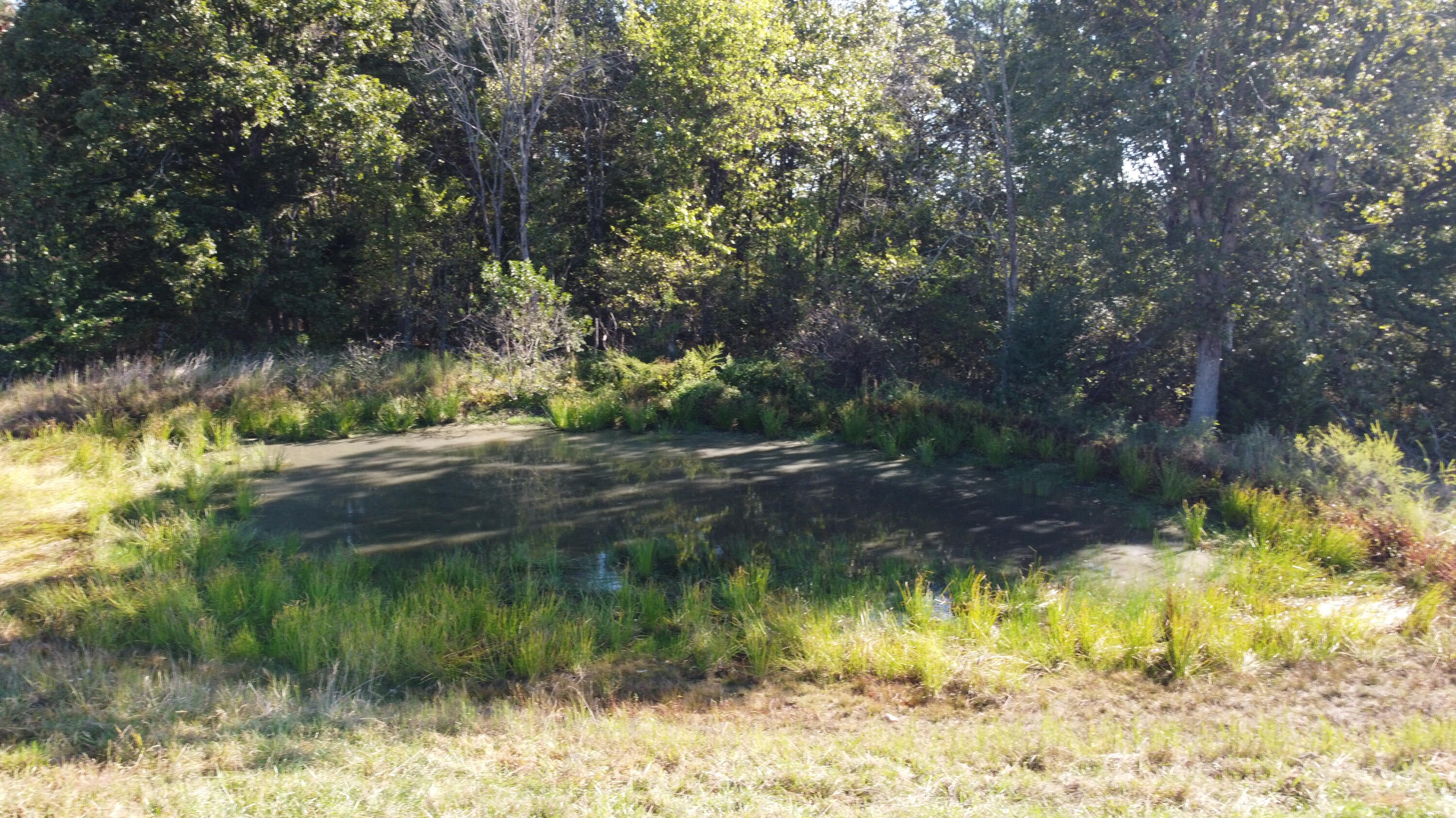 Photo 11 - Land for sale – 34771  Mo-14   Ava, MO