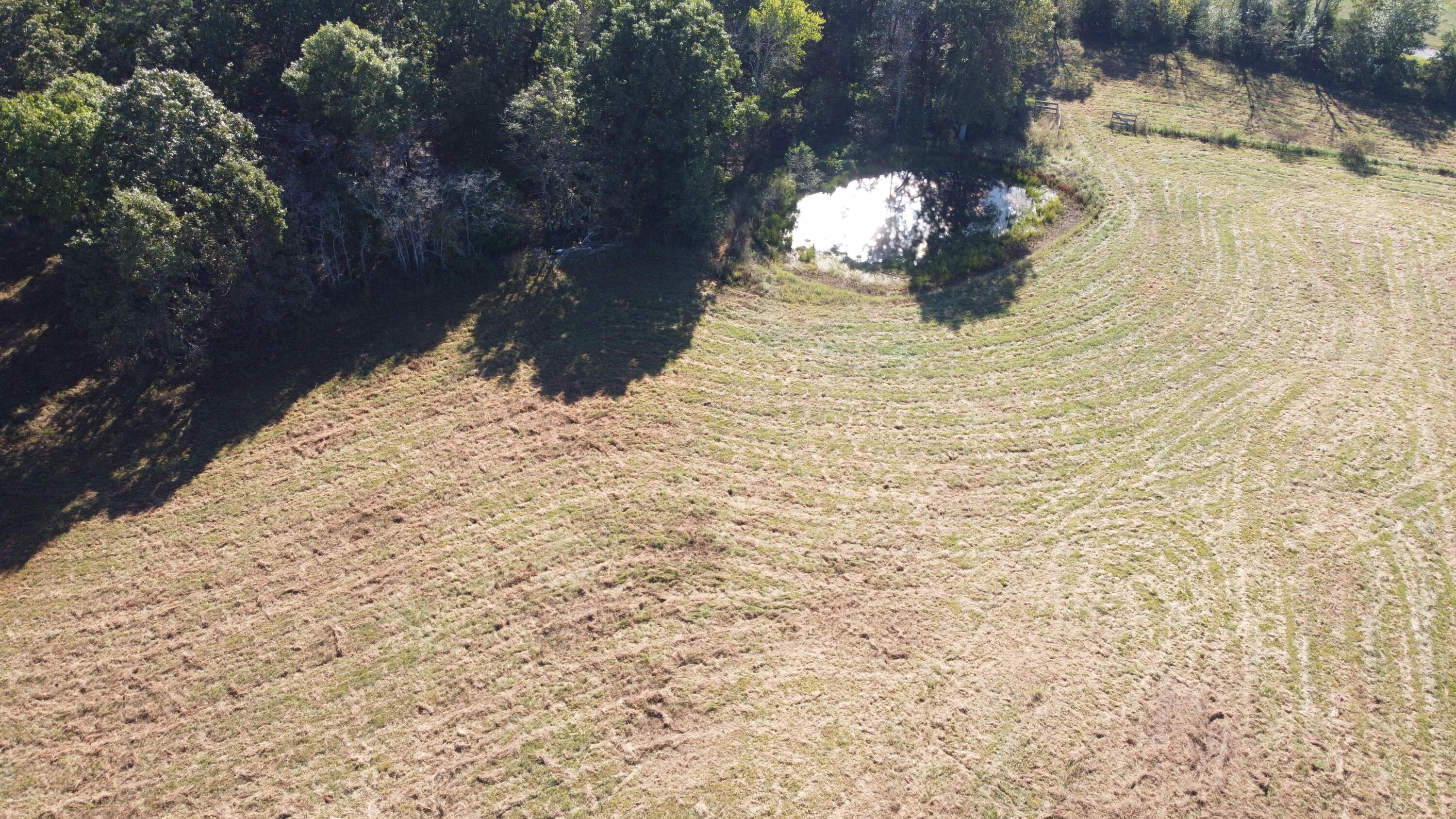 Photo 15 - Land for sale – 34771  Mo-14   Ava, MO