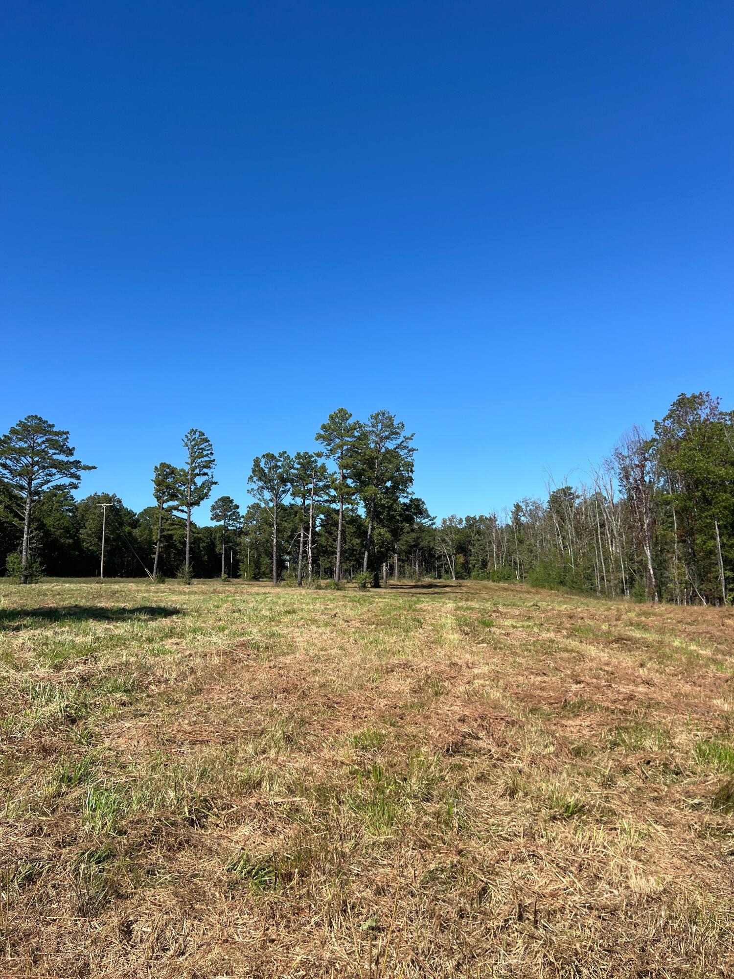 Photo 83 - Land for sale – 34771  Mo-14   Ava, MO