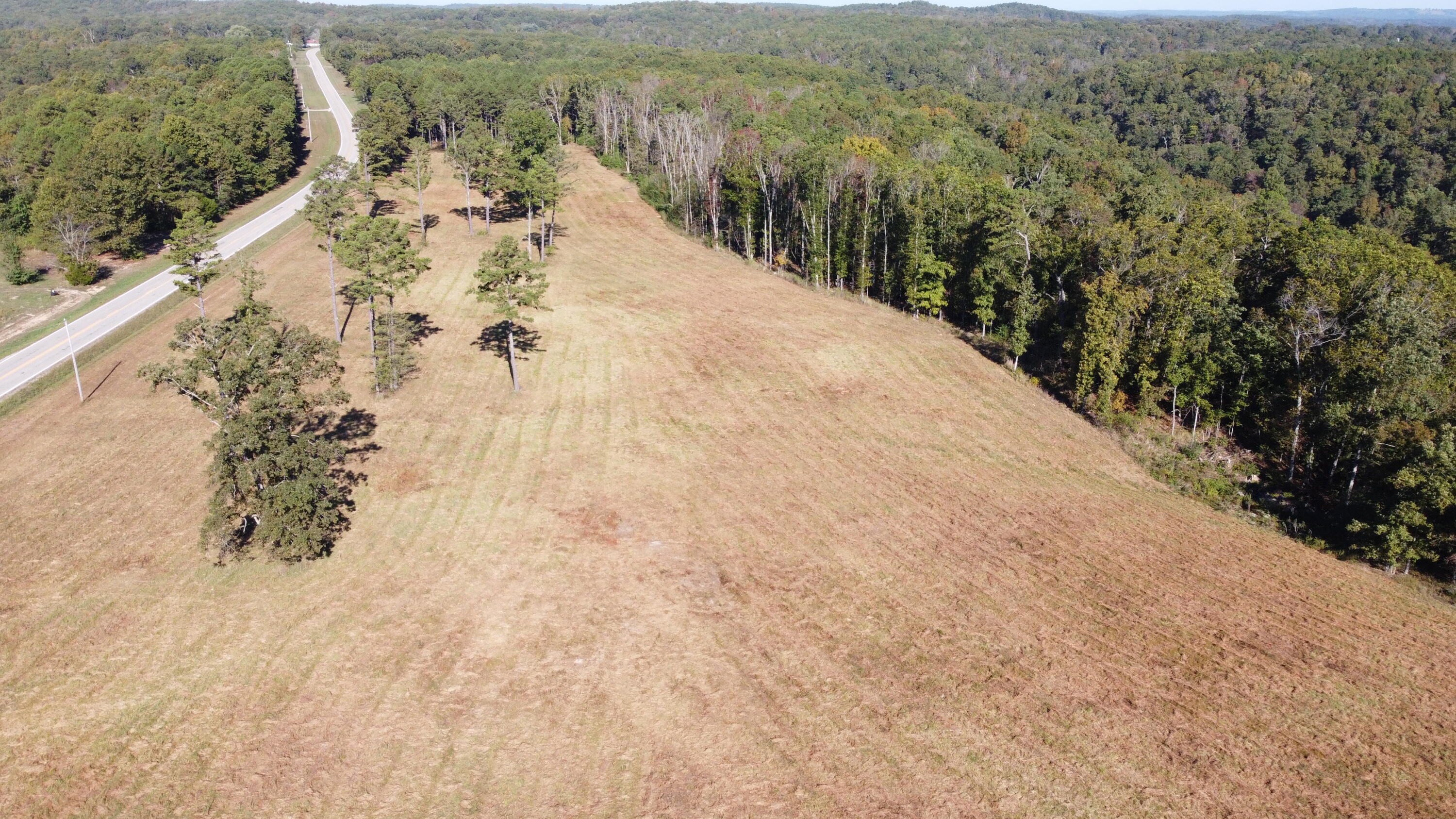 Photo 26 - Land for sale – 34771  Mo-14   Ava, MO