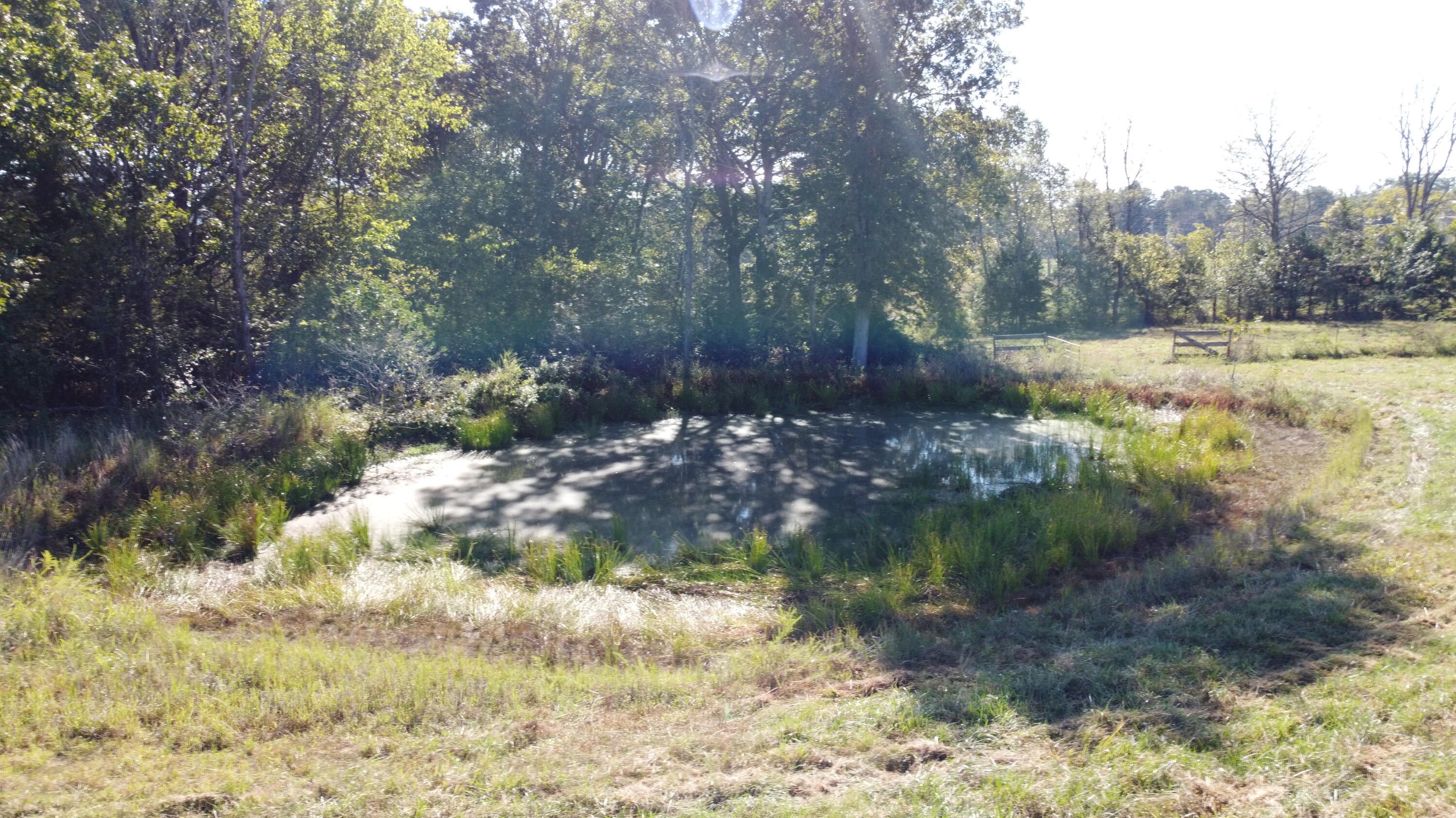 Photo 14 - Land for sale – 34771  Mo-14   Ava, MO