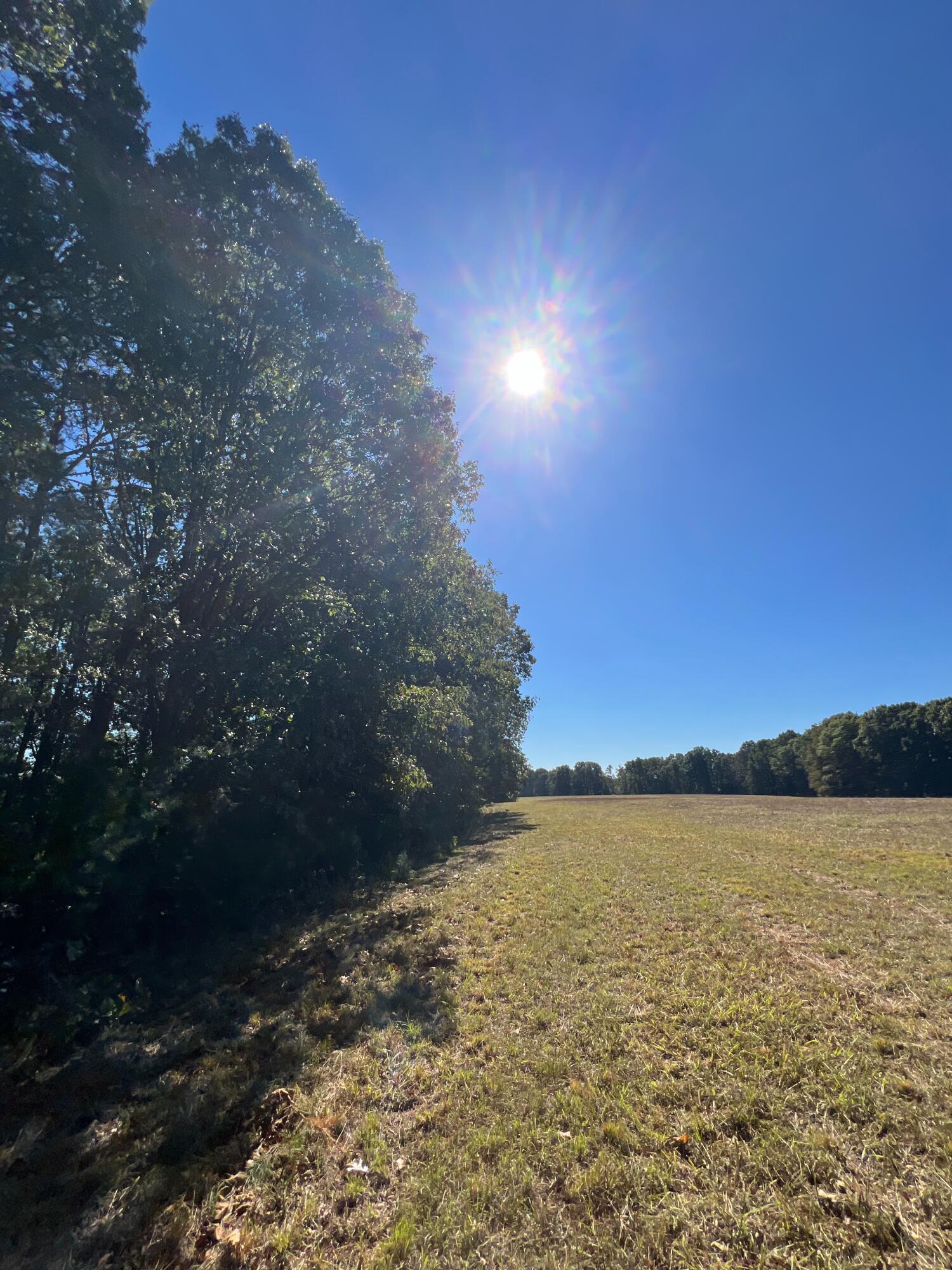 Photo 126 - Land for sale – 34771  Mo-14   Ava, MO