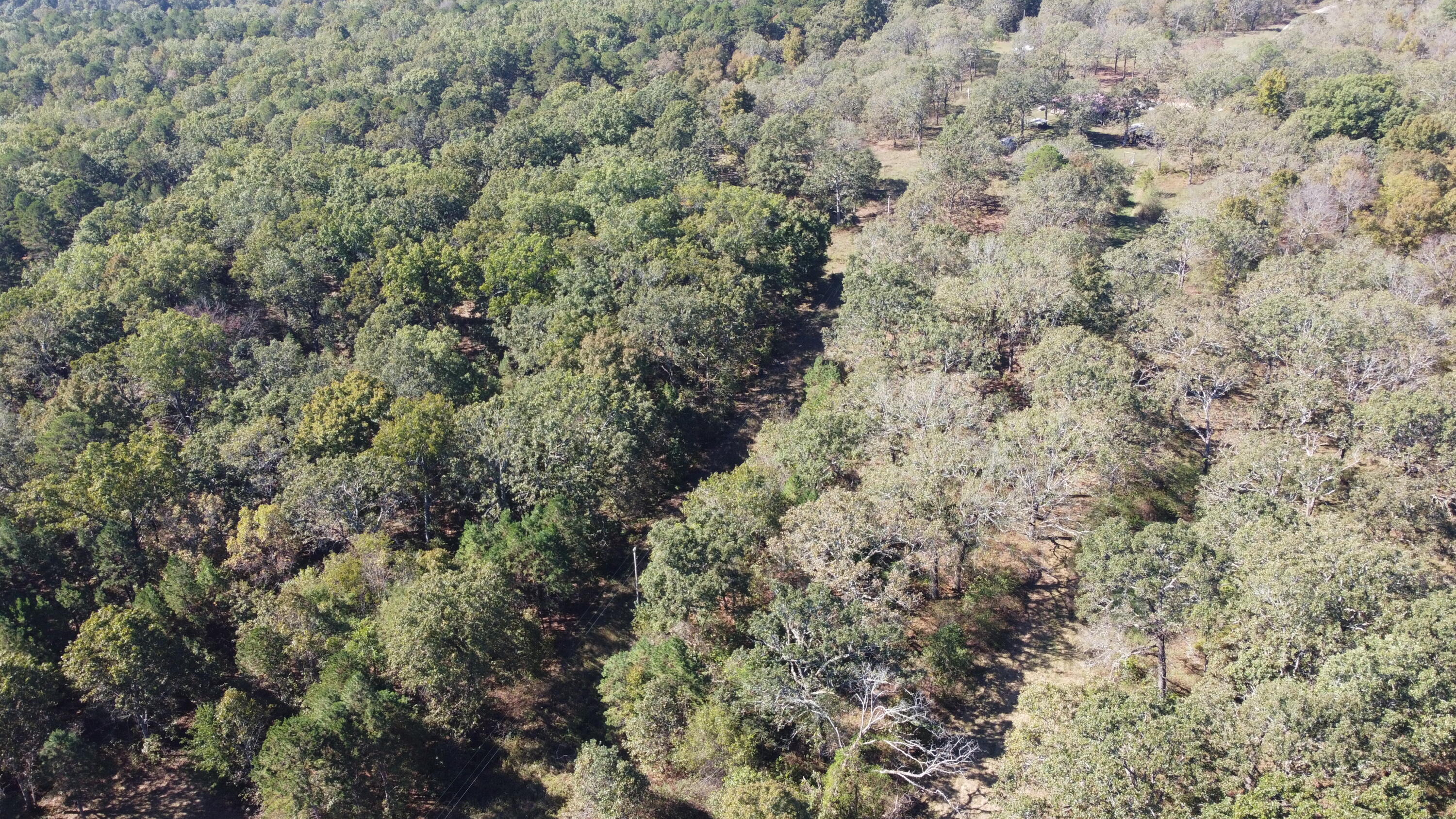 Photo 68 - Land for sale – 34771  Mo-14   Ava, MO