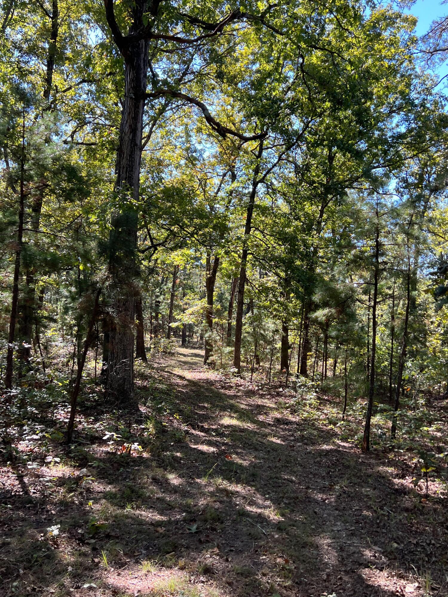 Photo 89 - Land for sale – 34771  Mo-14   Ava, MO