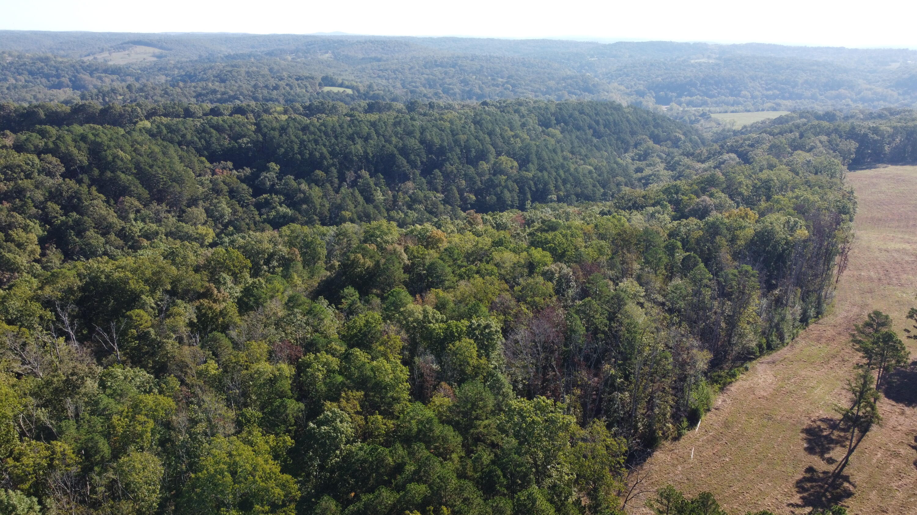 Photo 16 - Land for sale – 34771  Mo-14   Ava, MO