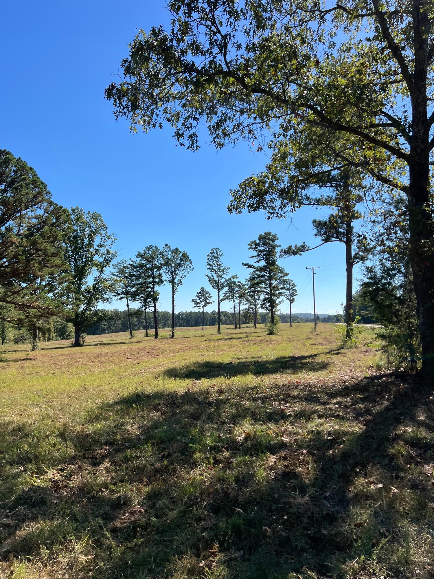 Photo 118 - Land for sale – 34771  Mo-14   Ava, MO