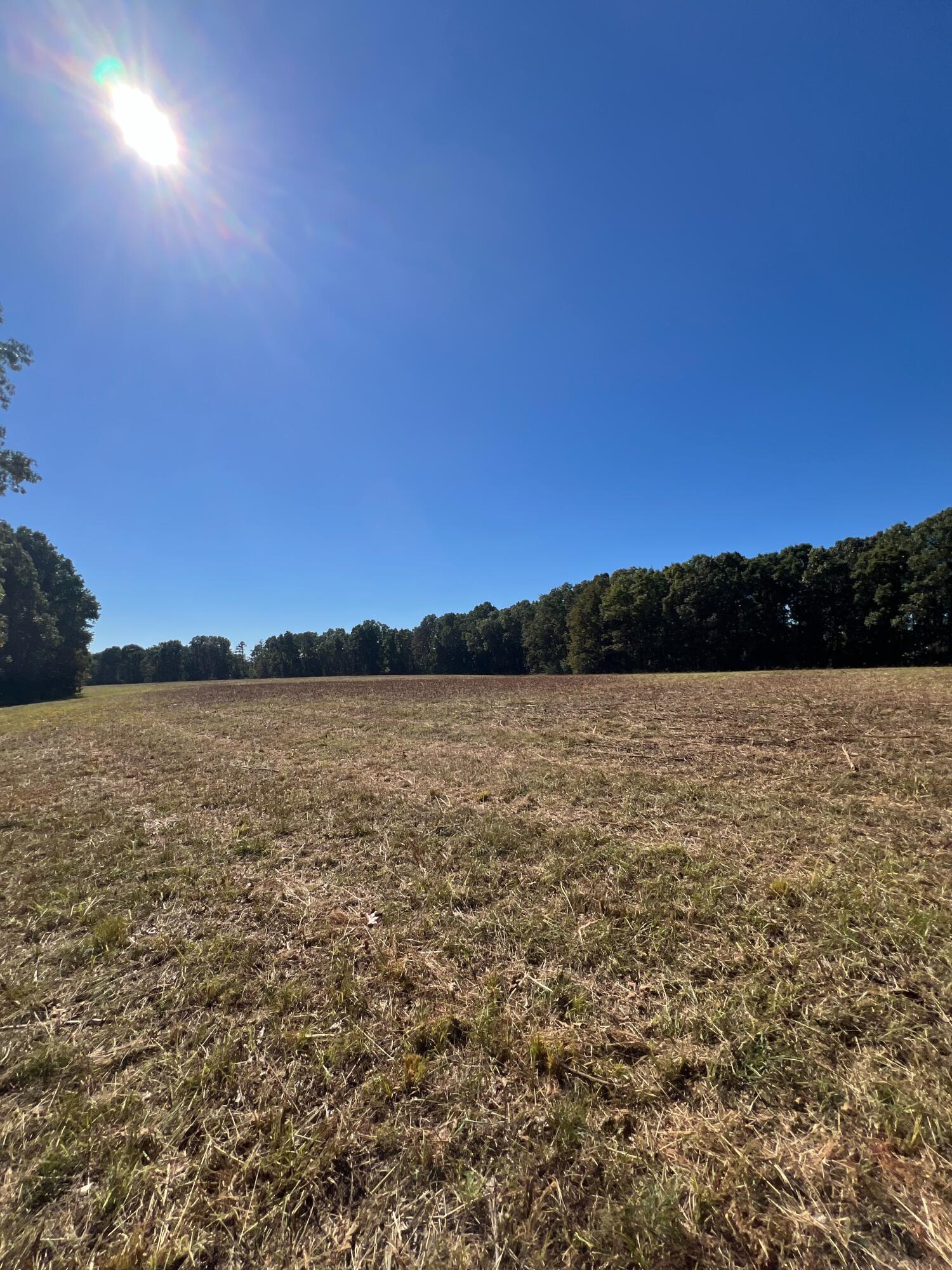 Photo 108 - Land for sale – 34771  Mo-14   Ava, MO