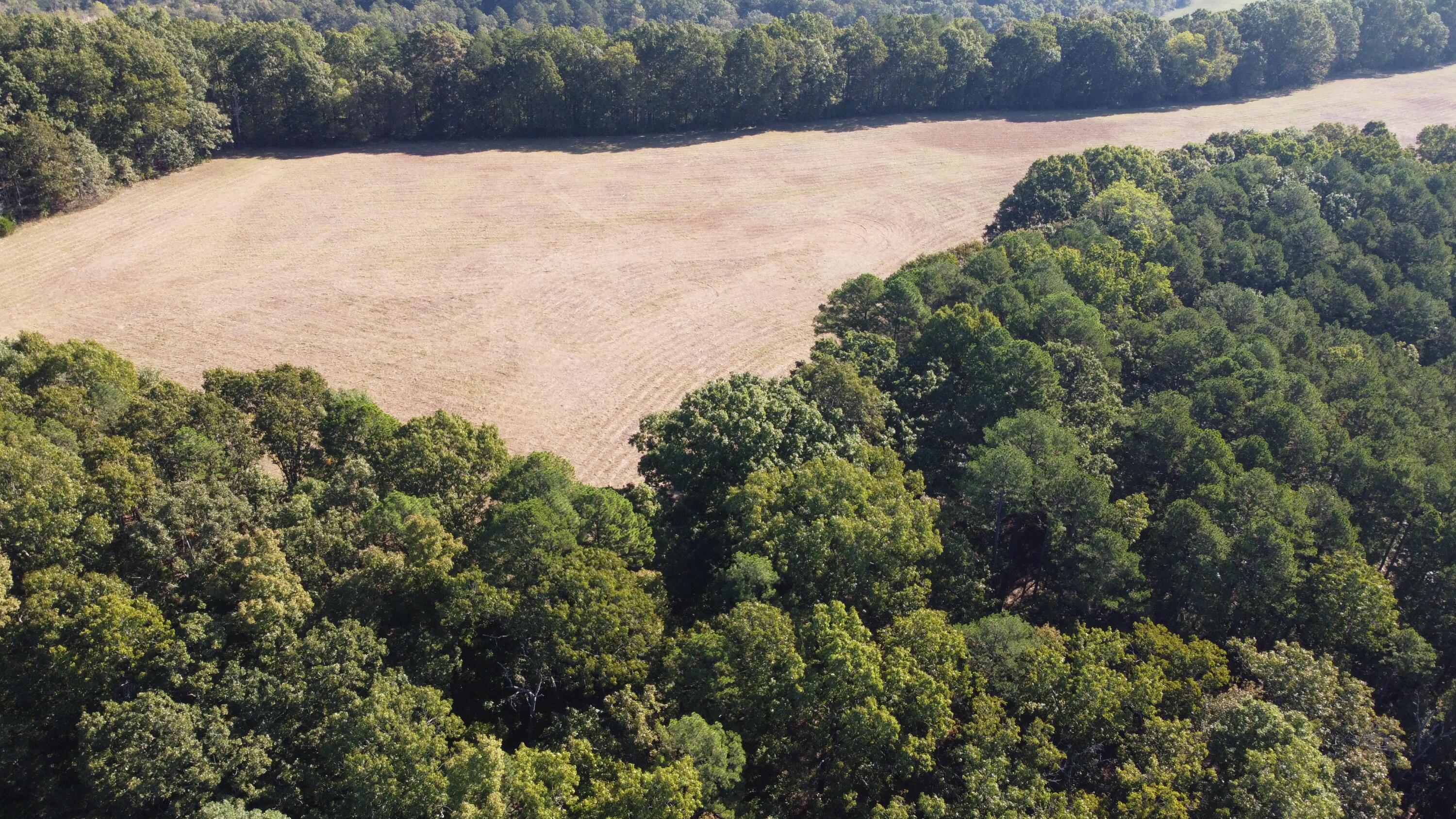 Photo 20 - Land for sale – 34771  Mo-14   Ava, MO