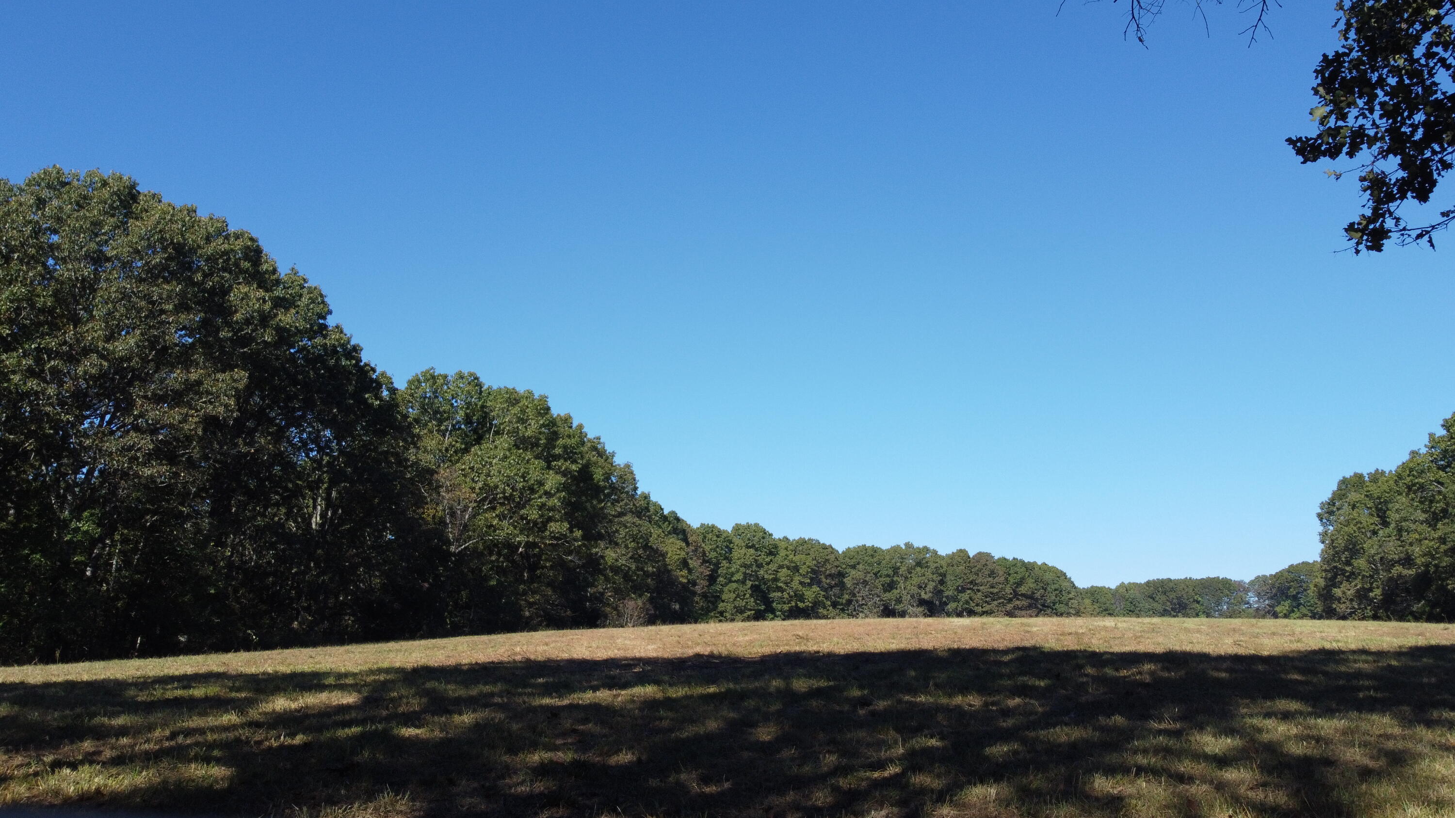 Photo 31 - Land for sale – 34771  Mo-14   Ava, MO