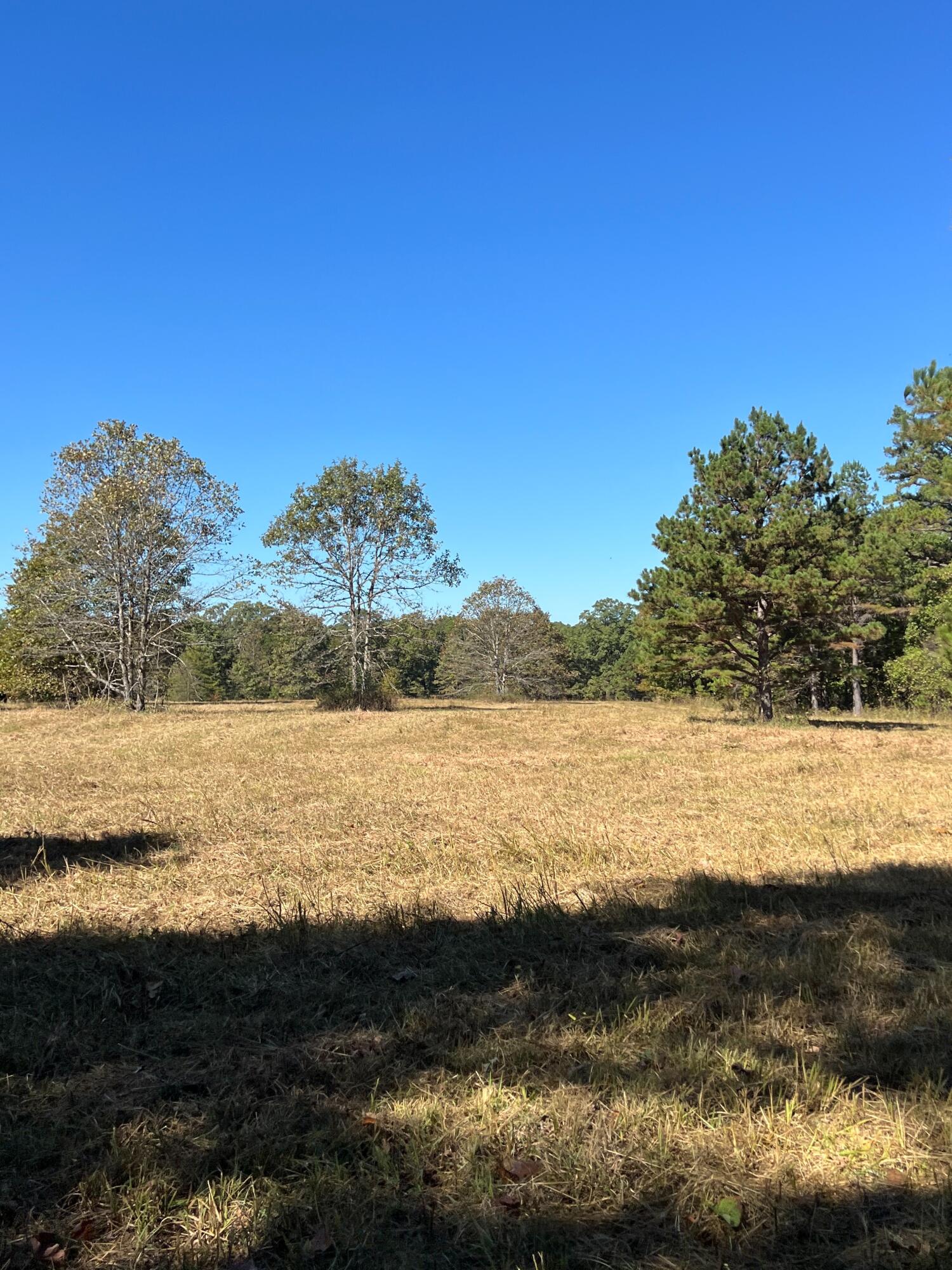 Photo 91 - Land for sale – 34771  Mo-14   Ava, MO