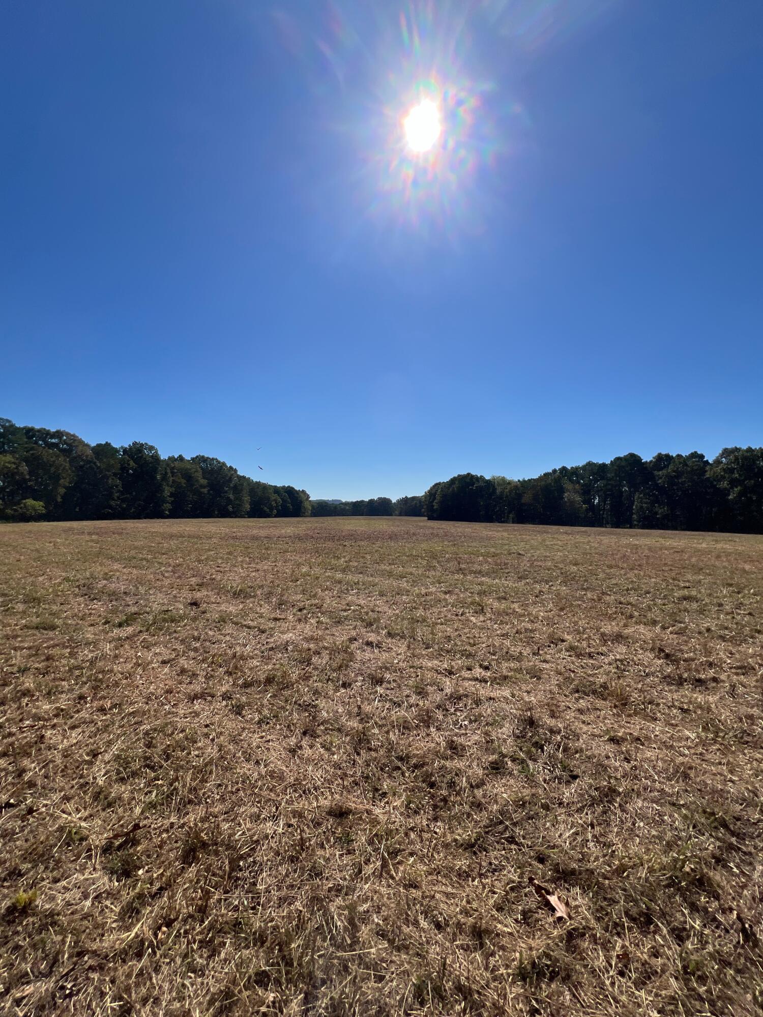 Photo 86 - Land for sale – 34771  Mo-14   Ava, MO