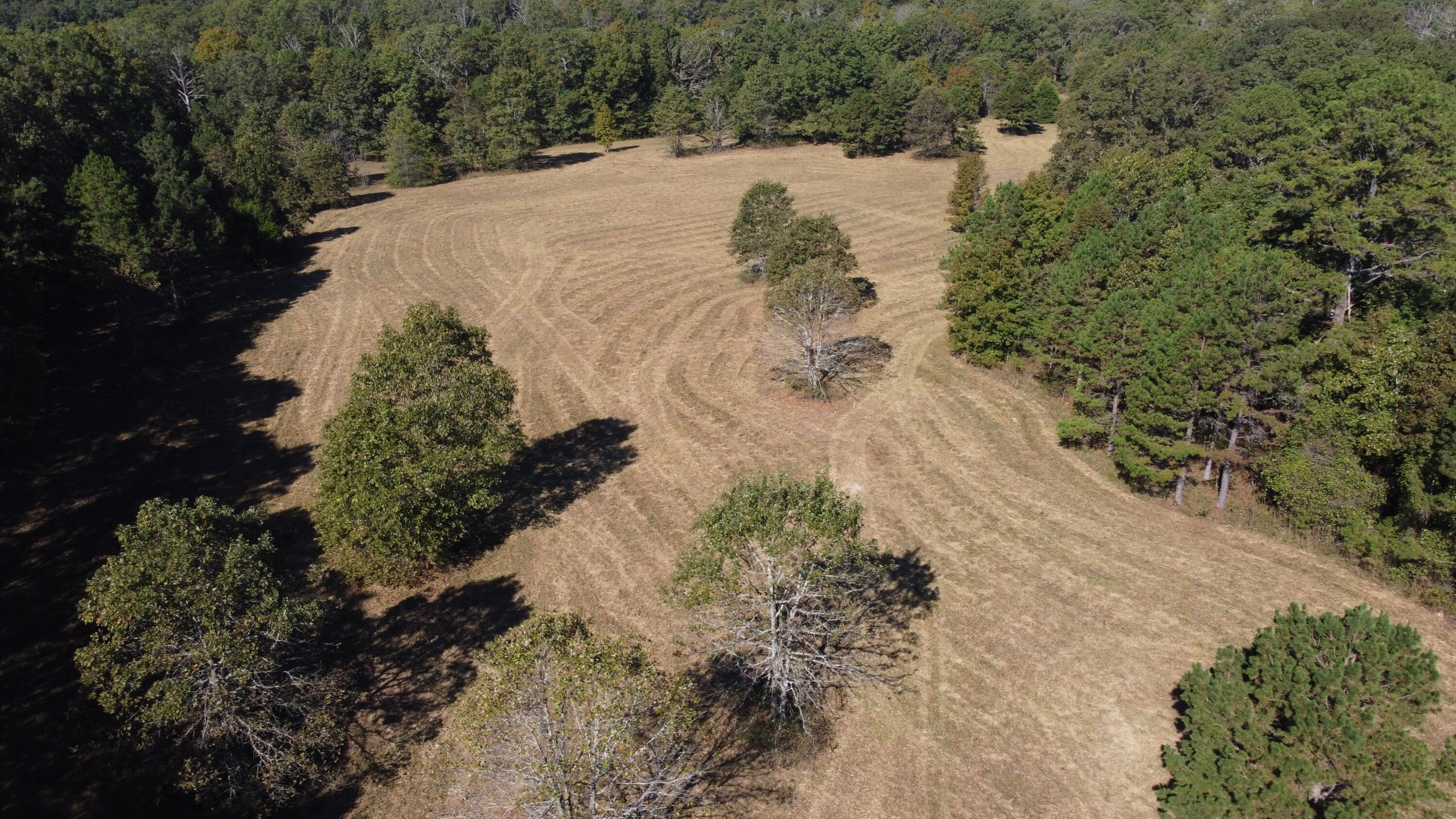Photo 58 - Land for sale – 34771  Mo-14   Ava, MO