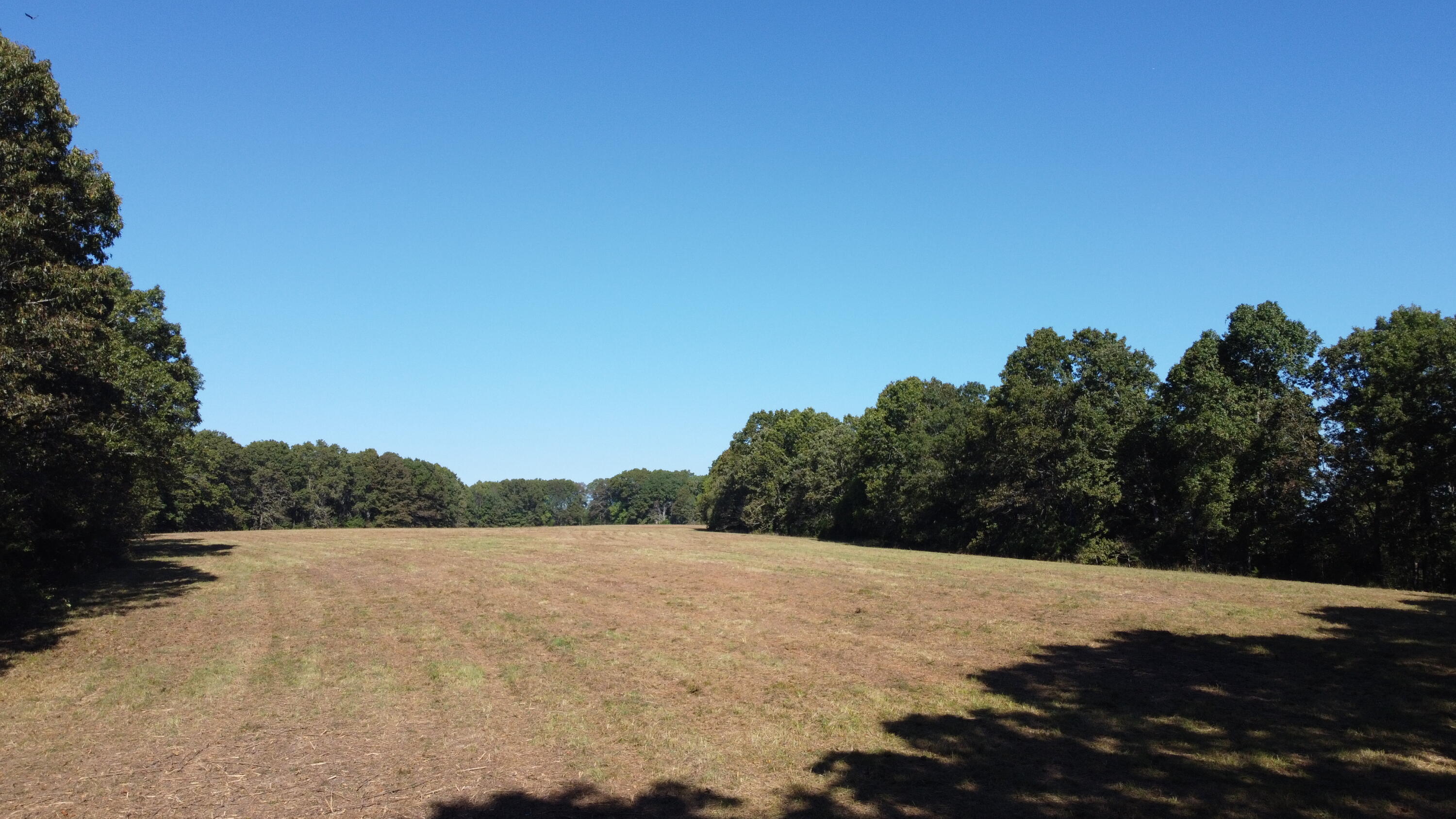 Photo 34 - Land for sale – 34771  Mo-14   Ava, MO