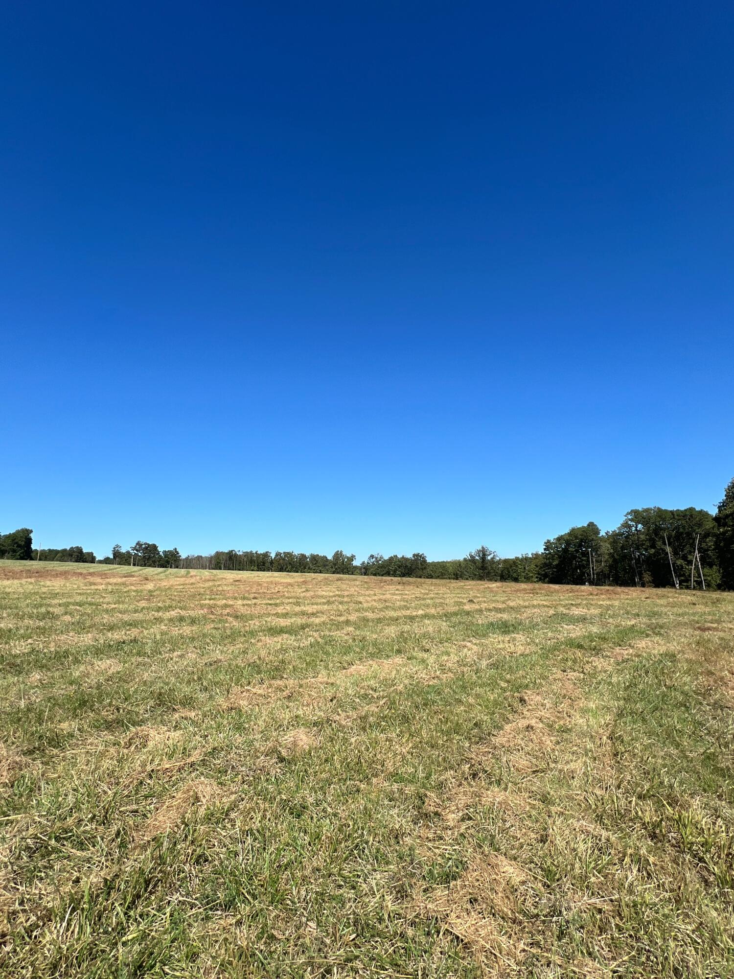 Photo 99 - Land for sale – 34771  Mo-14   Ava, MO