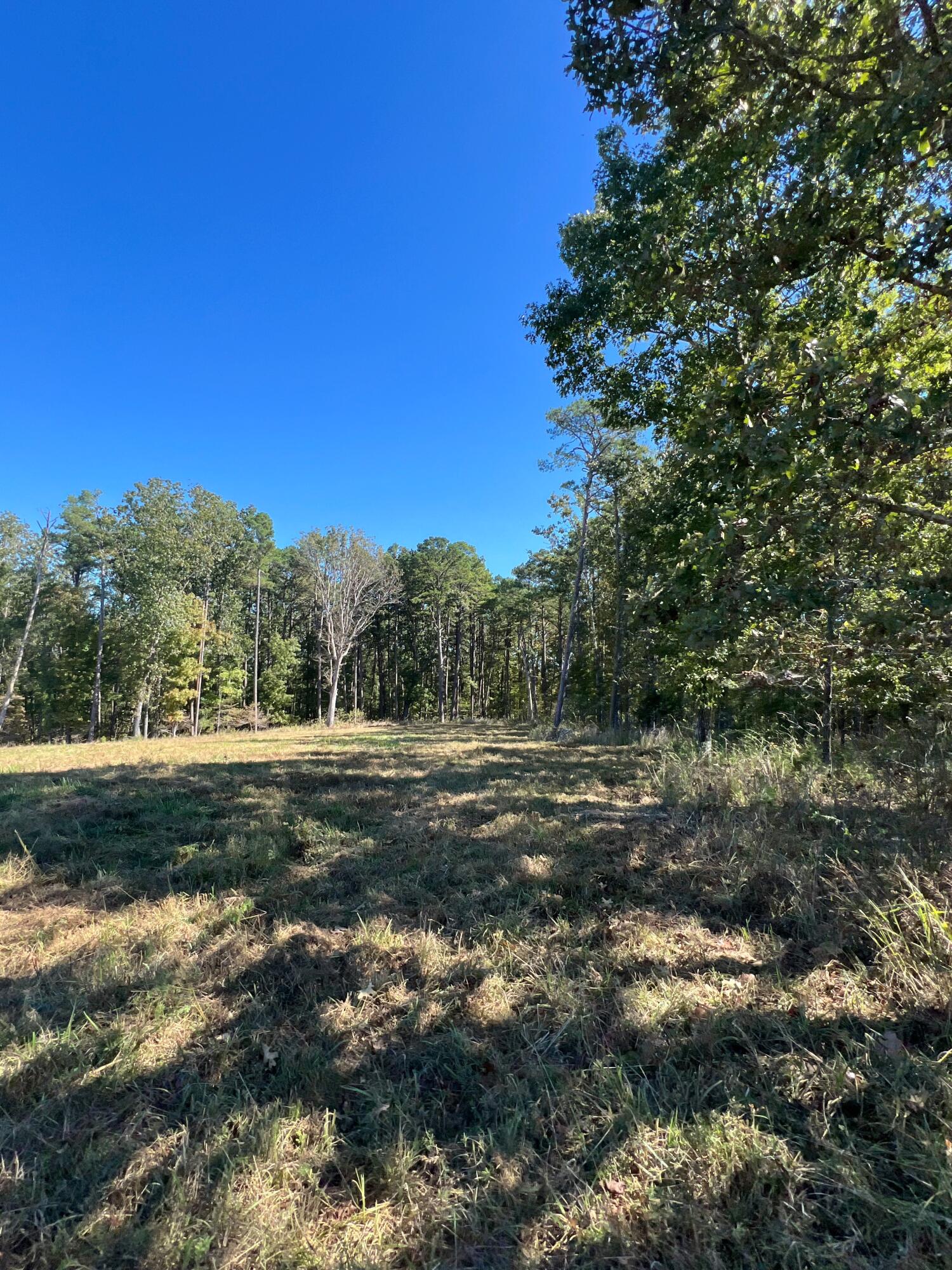 Photo 104 - Land for sale – 34771  Mo-14   Ava, MO