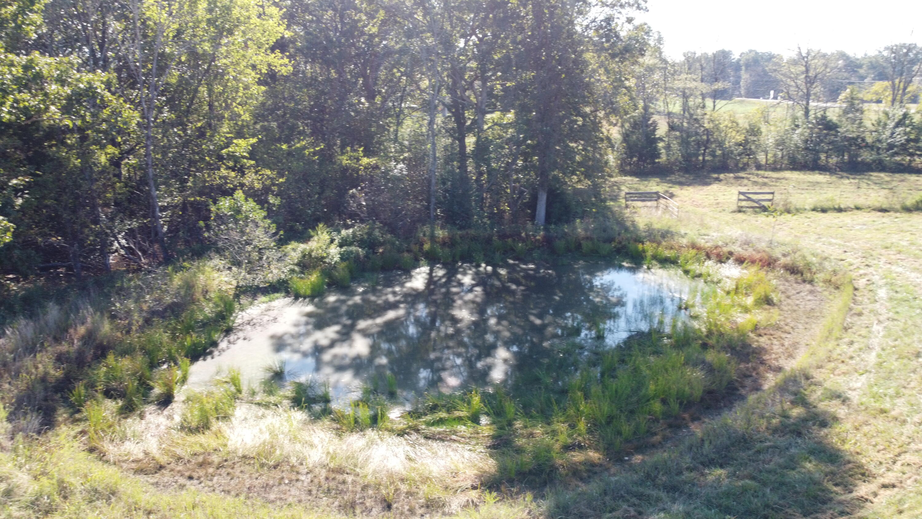 Photo 10 - Land for sale – 34771  Mo-14   Ava, MO