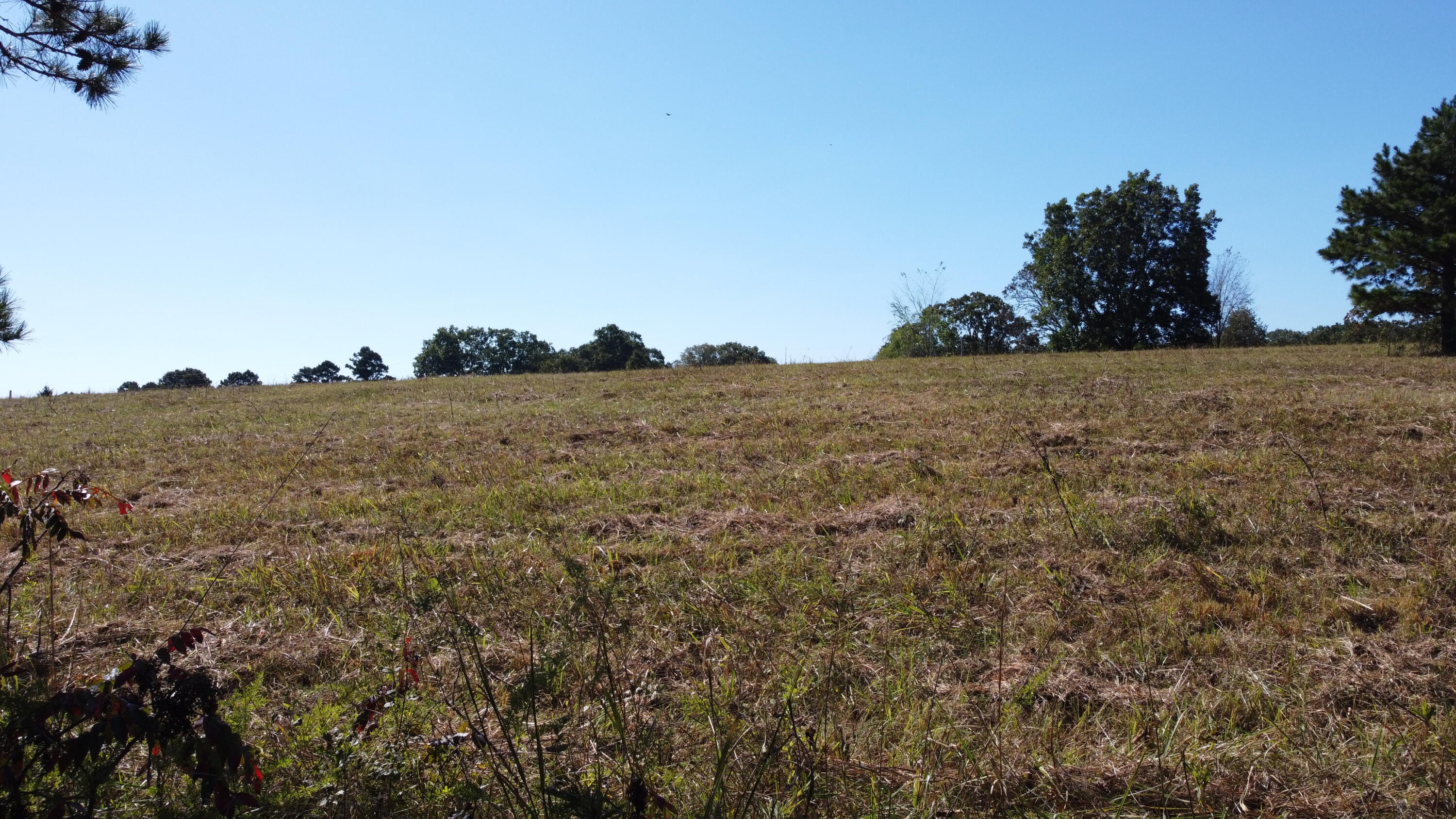 Photo 79 - Land for sale – 34771  Mo-14   Ava, MO