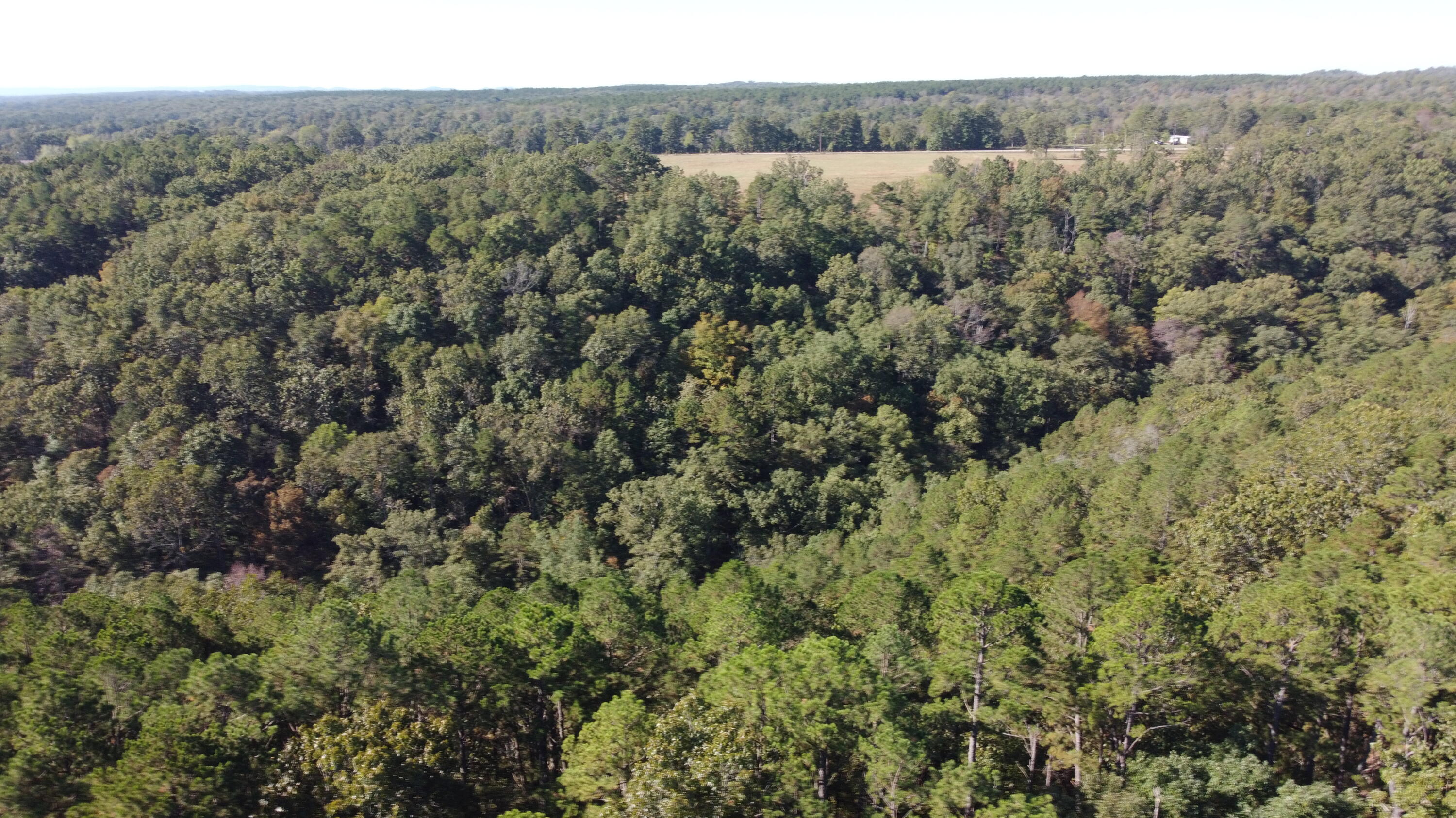 Photo 35 - Land for sale – 34771  Mo-14   Ava, MO