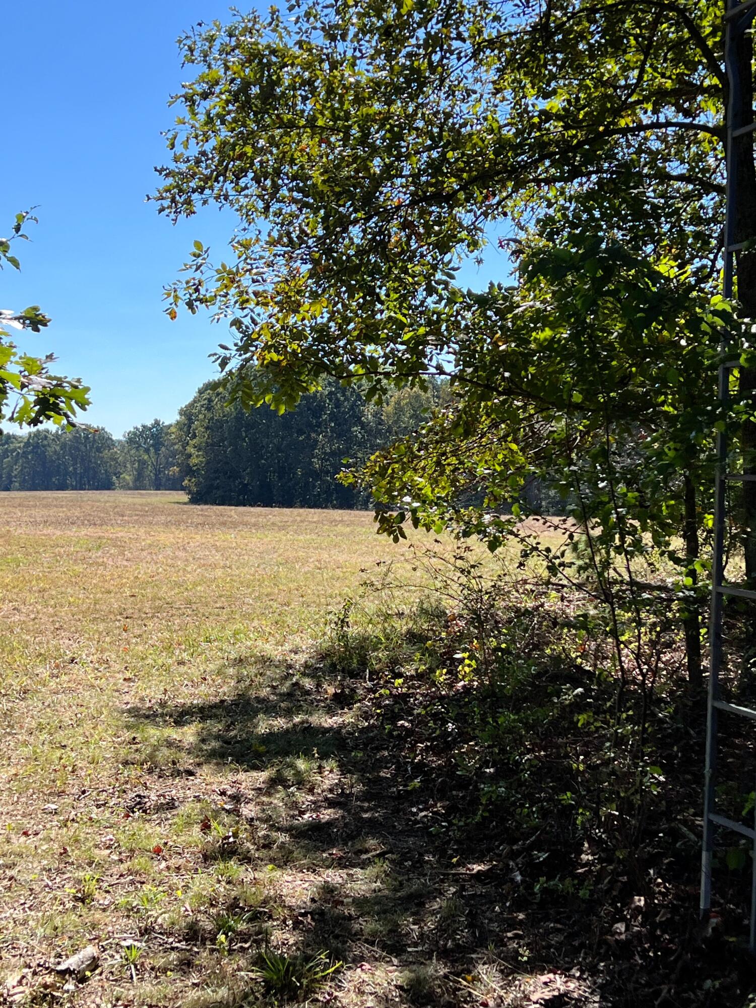 Photo 85 - Land for sale – 34771  Mo-14   Ava, MO
