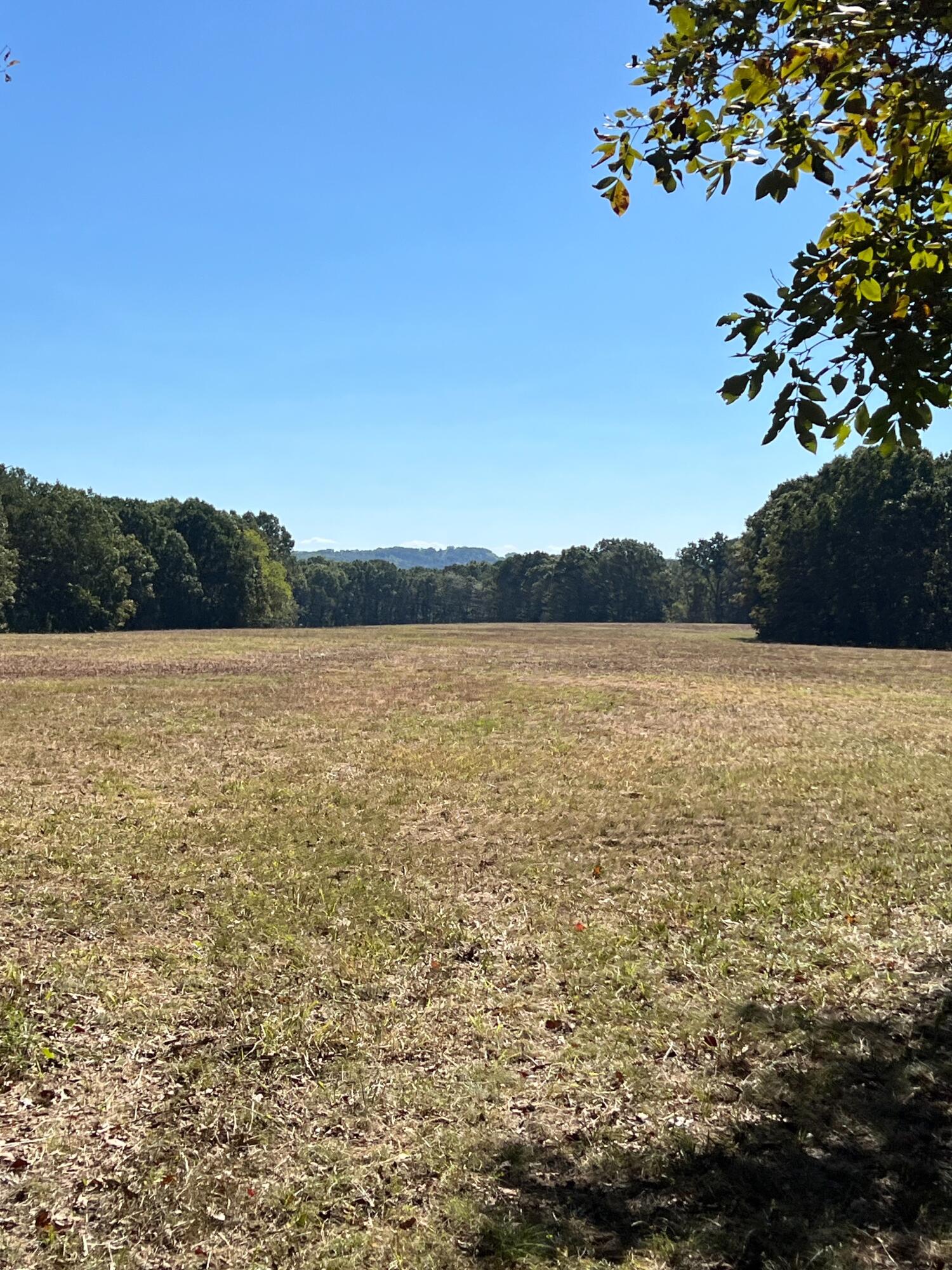 Photo 119 - Land for sale – 34771  Mo-14   Ava, MO