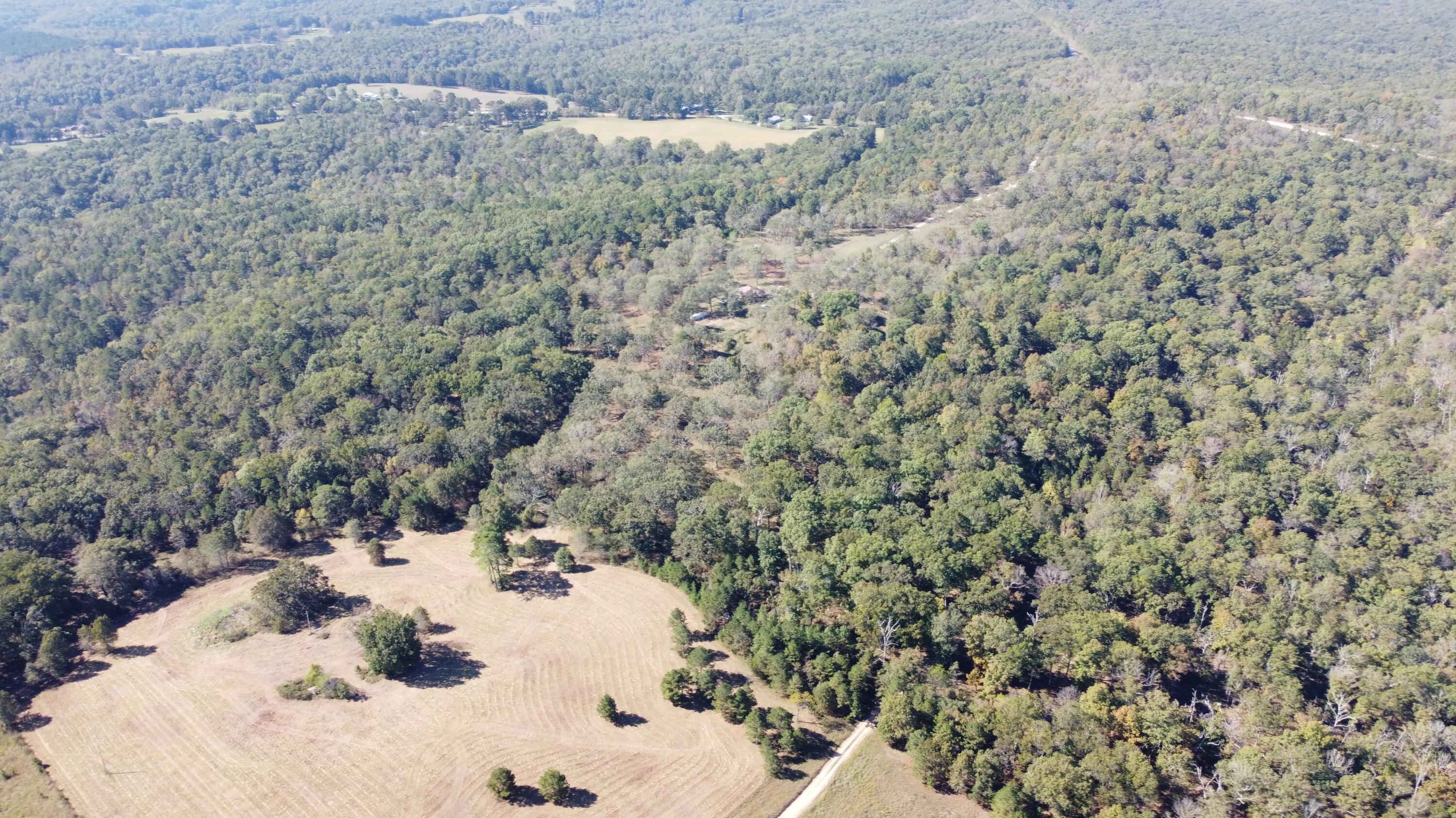 Photo 64 - Land for sale – 34771  Mo-14   Ava, MO