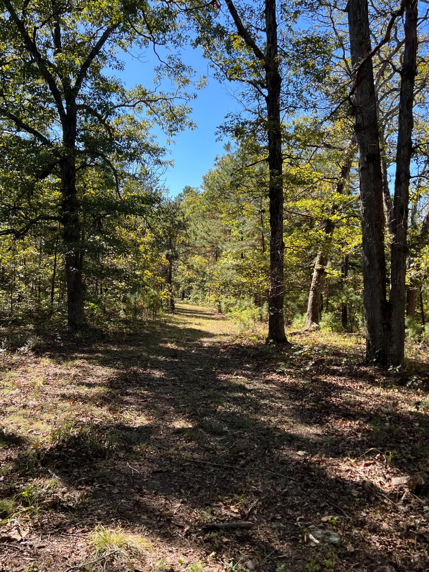 Photo 81 - Land for sale – 34771  Mo-14   Ava, MO