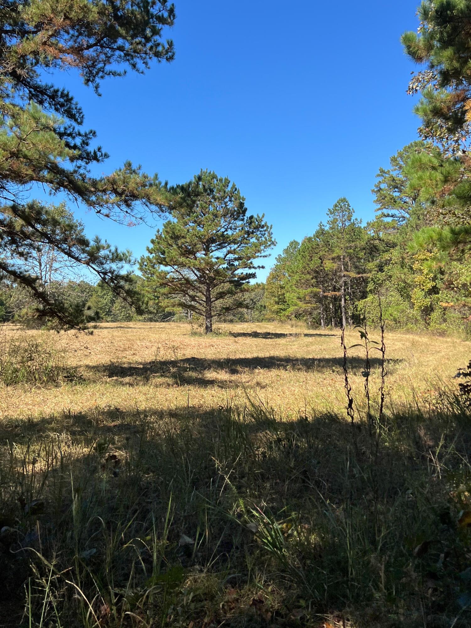 Photo 117 - Land for sale – 34771  Mo-14   Ava, MO