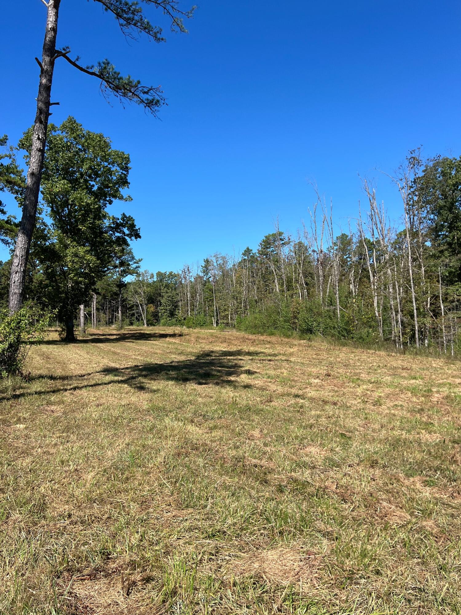 Photo 84 - Land for sale – 34771  Mo-14   Ava, MO