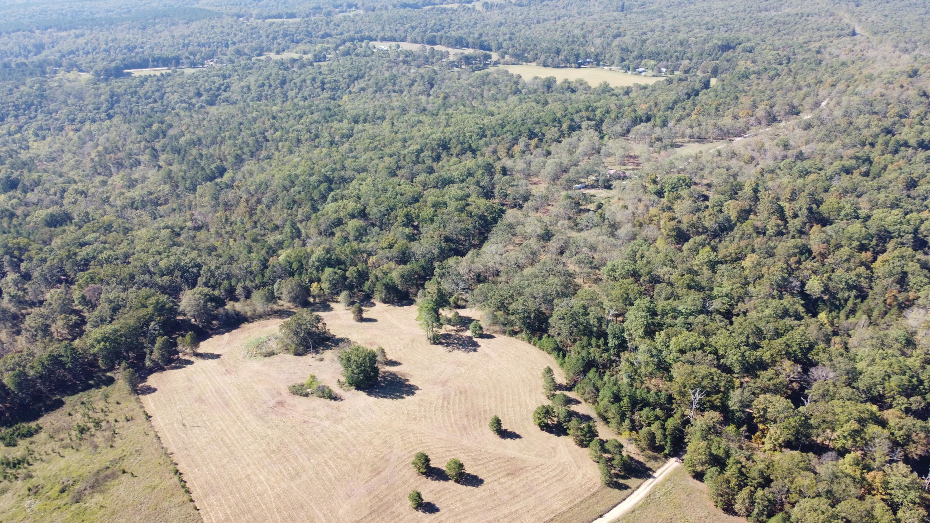 Photo 62 - Land for sale – 34771  Mo-14   Ava, MO
