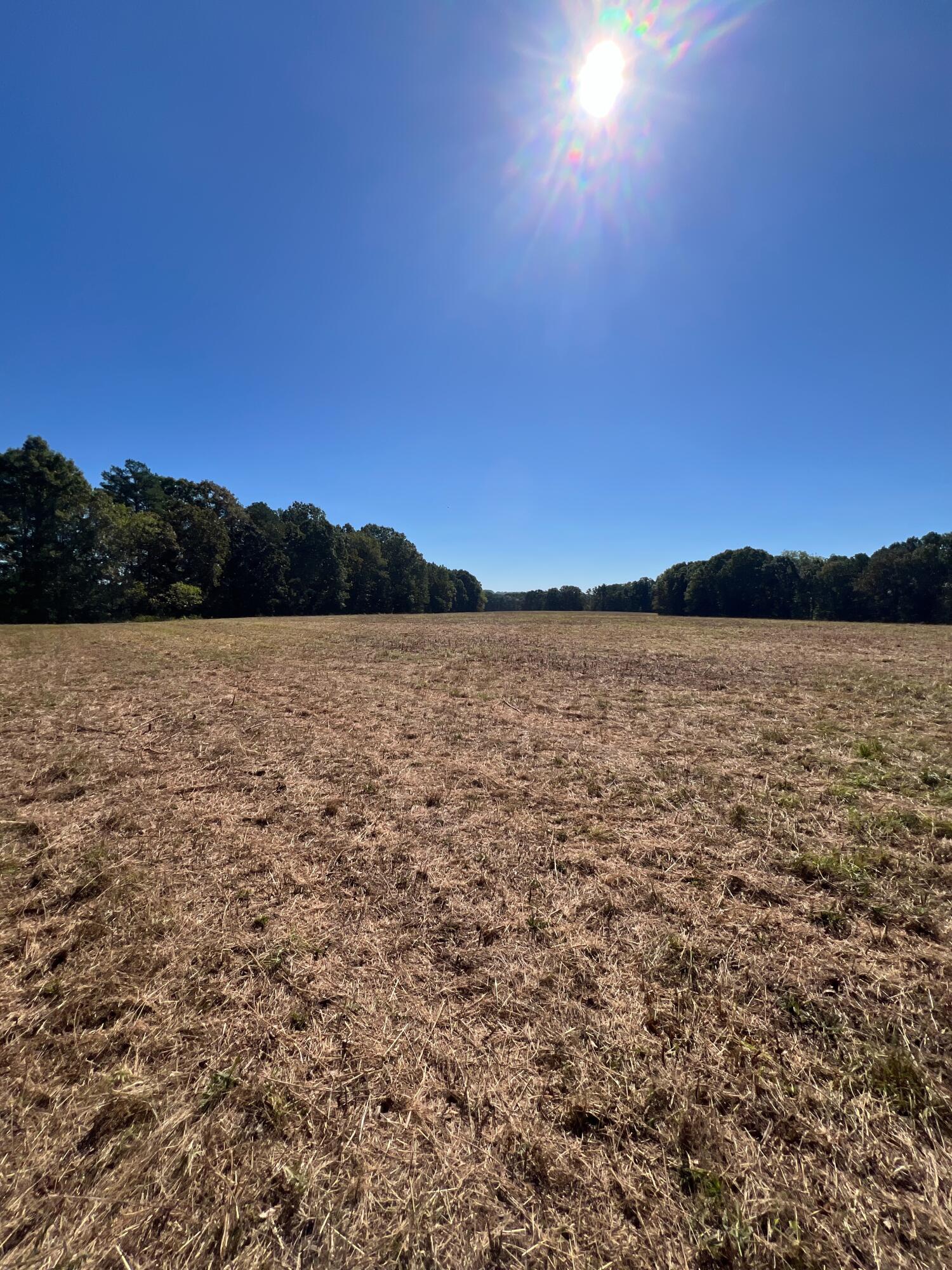 Photo 115 - Land for sale – 34771  Mo-14   Ava, MO