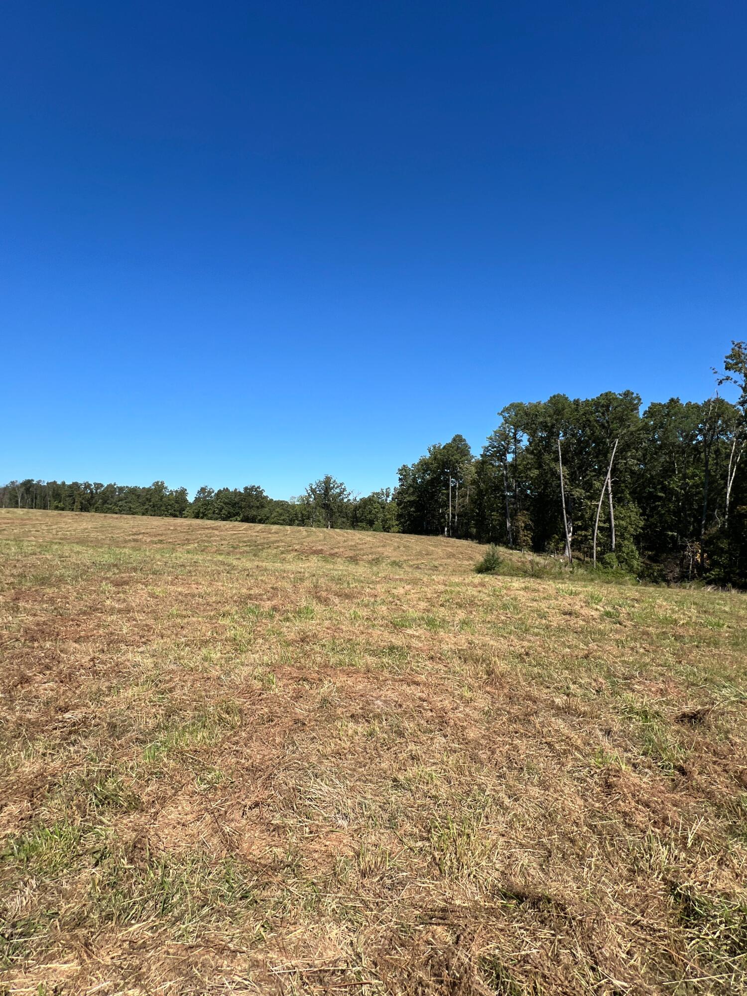 Photo 110 - Land for sale – 34771  Mo-14   Ava, MO