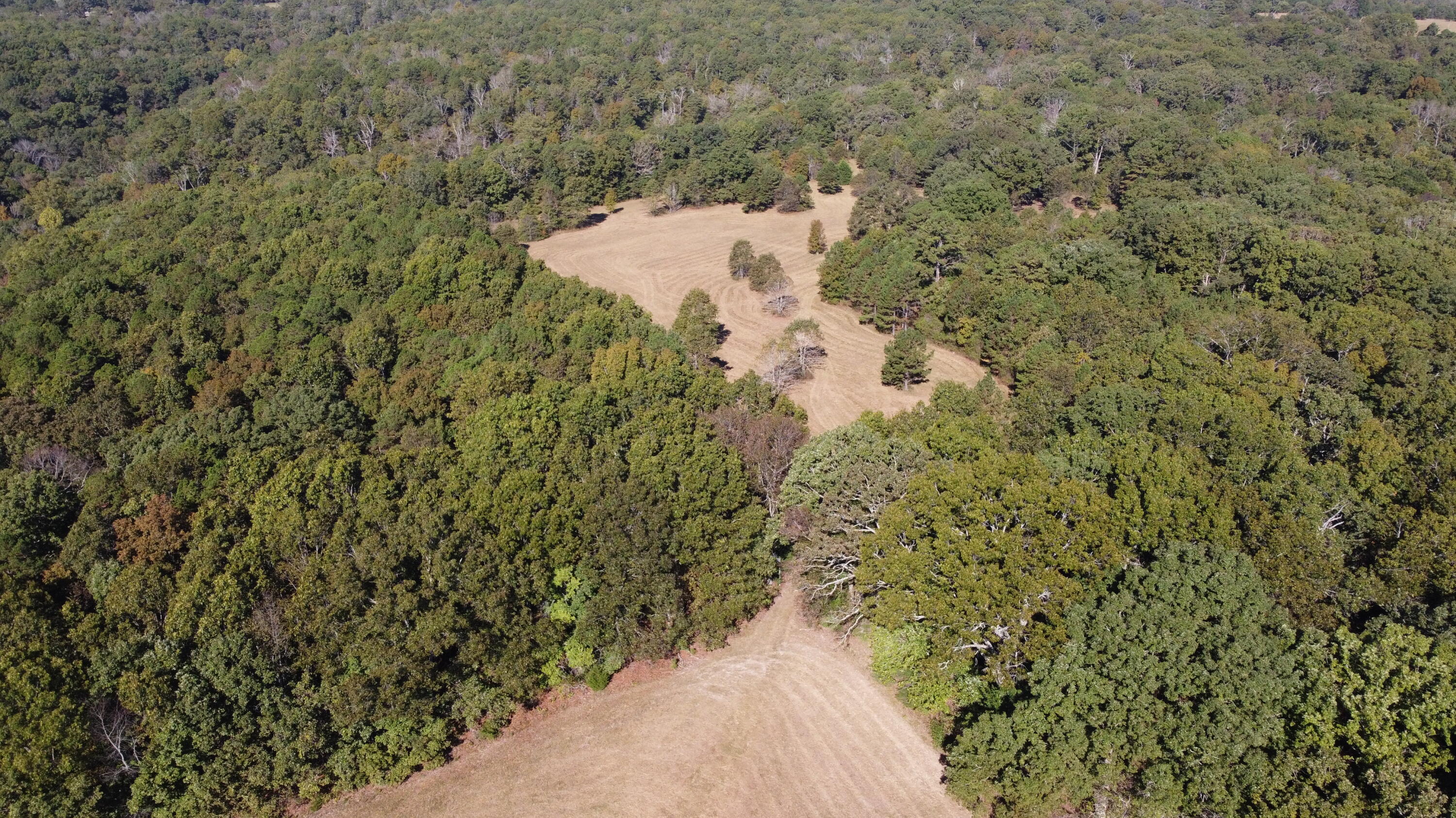 Photo 41 - Land for sale – 34771  Mo-14   Ava, MO