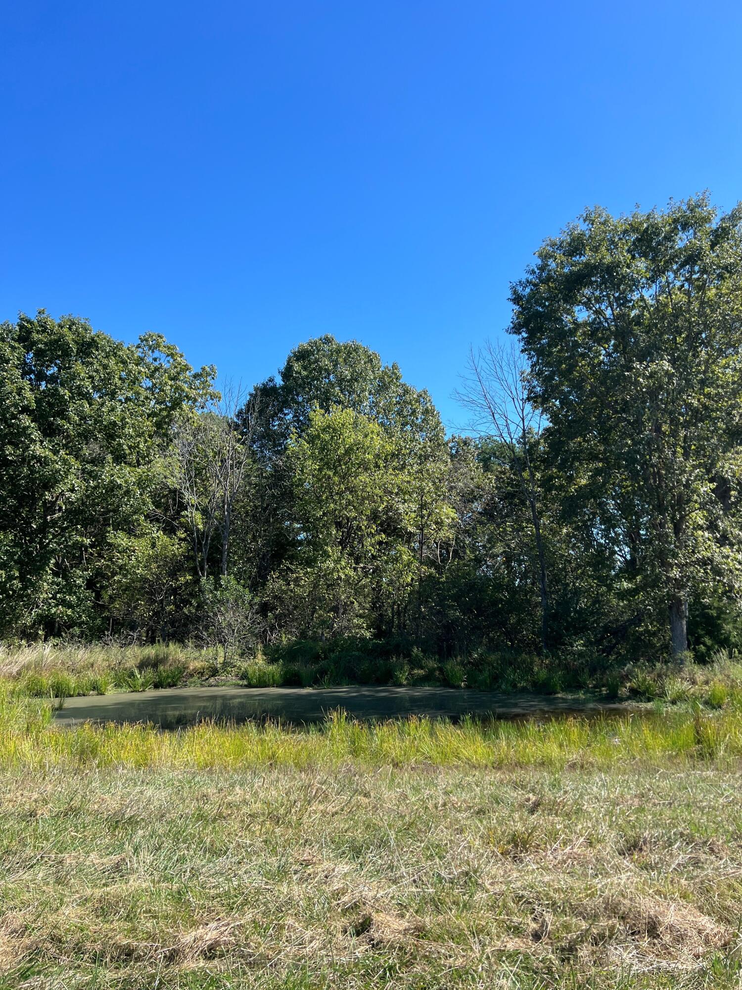 Photo 112 - Land for sale – 34771  Mo-14   Ava, MO