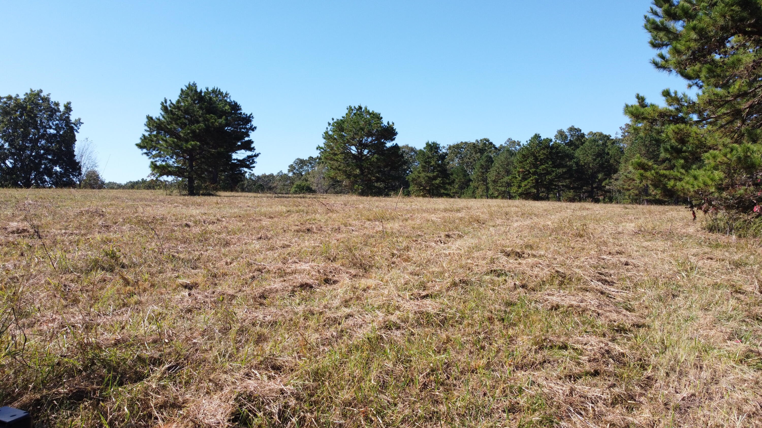 Photo 78 - Land for sale – 34771  Mo-14   Ava, MO