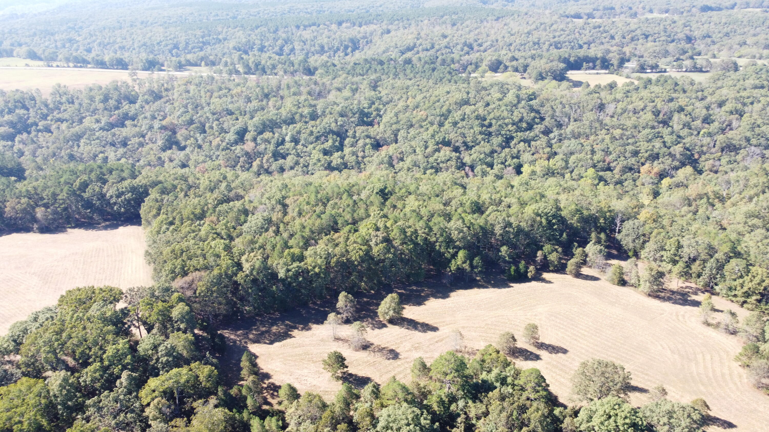 Photo 50 - Land for sale – 34771  Mo-14   Ava, MO