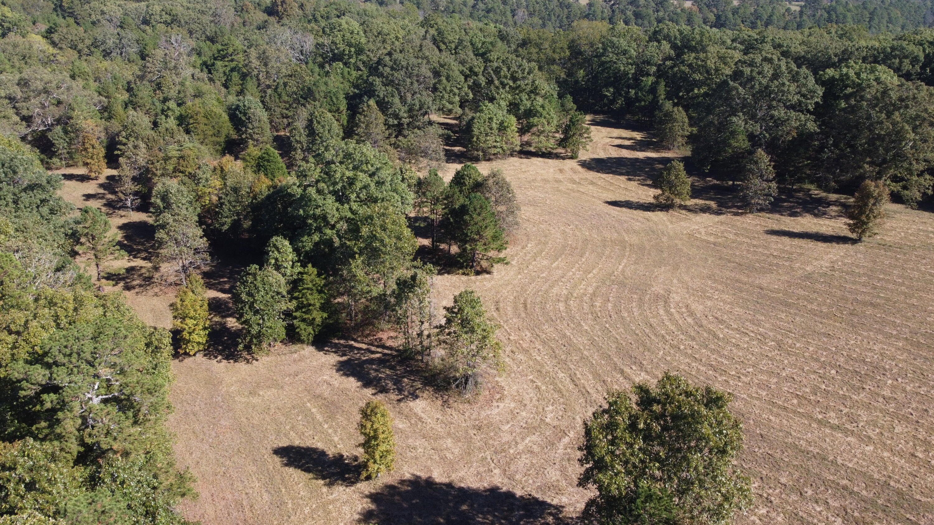 Photo 60 - Land for sale – 34771  Mo-14   Ava, MO