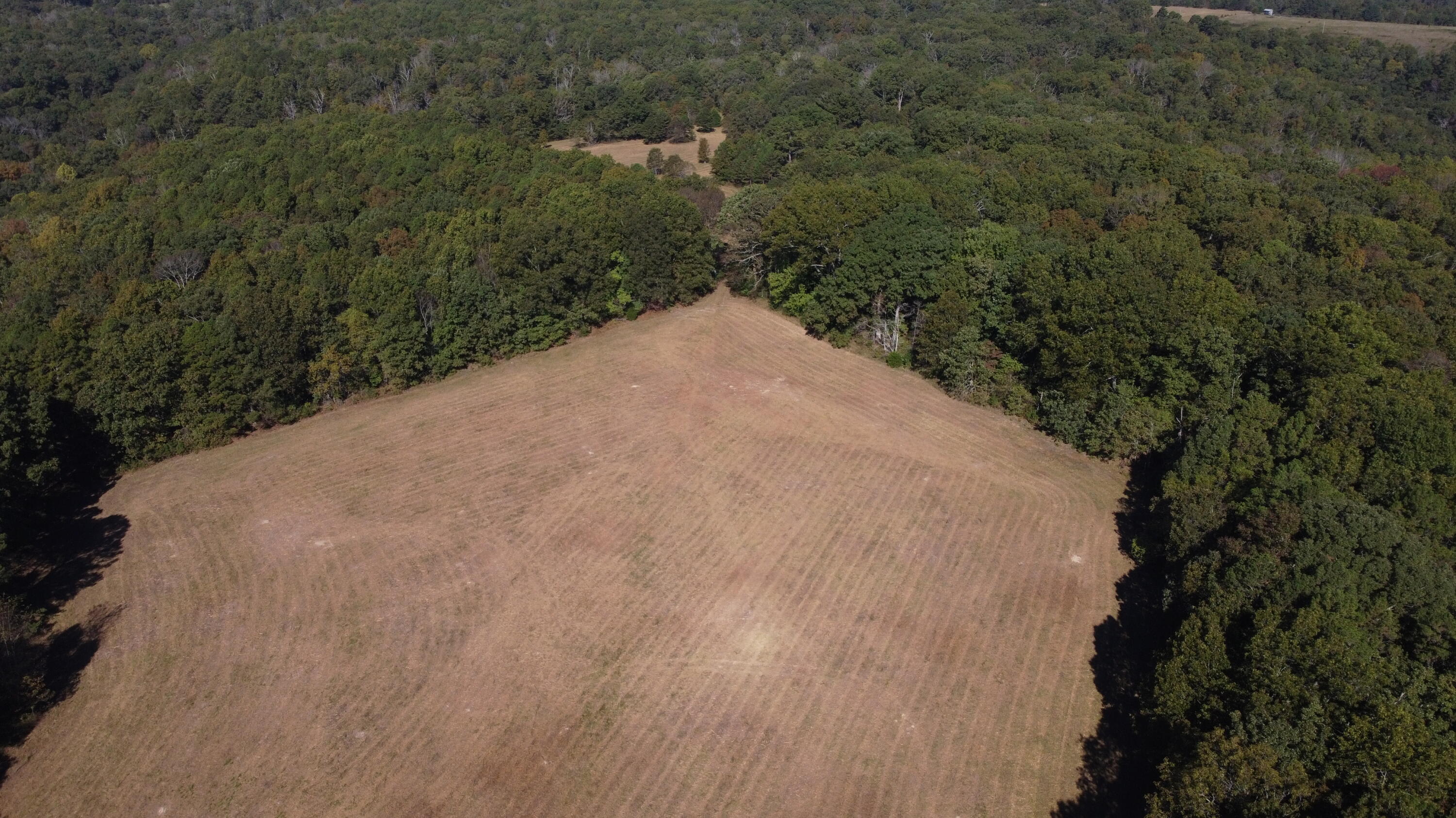 Photo 40 - Land for sale – 34771  Mo-14   Ava, MO