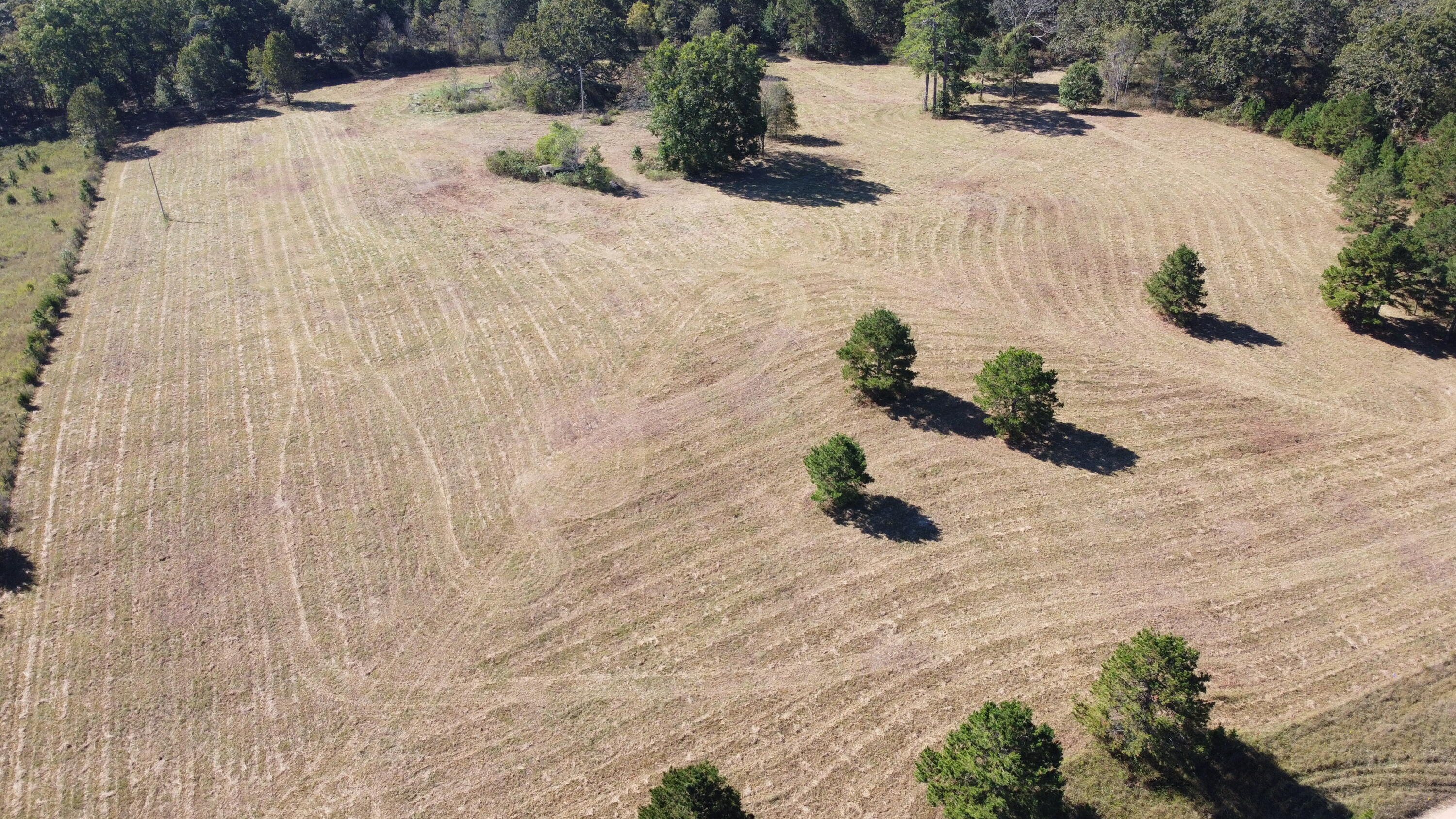 Photo 61 - Land for sale – 34771  Mo-14   Ava, MO