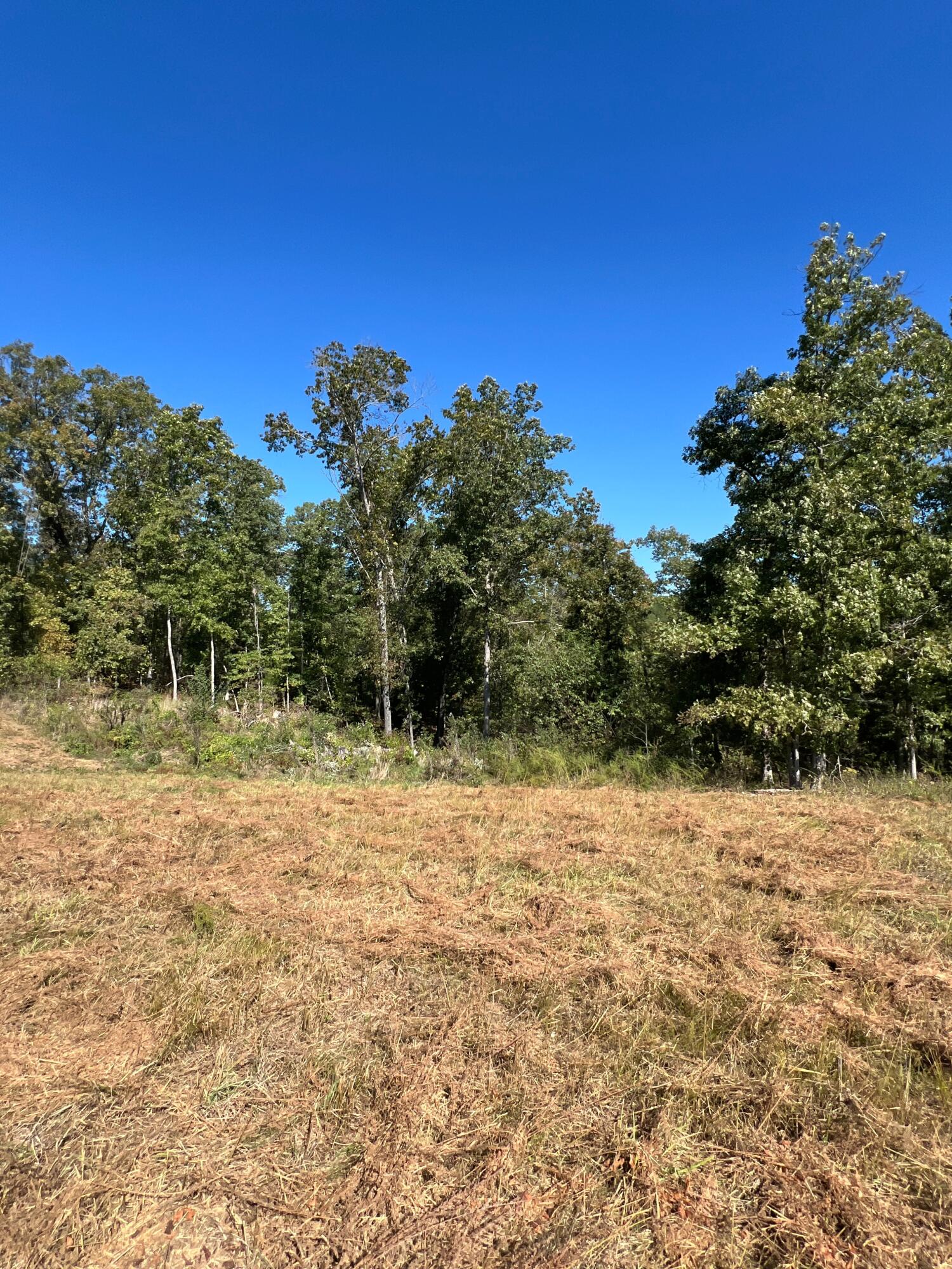 Photo 106 - Land for sale – 34771  Mo-14   Ava, MO