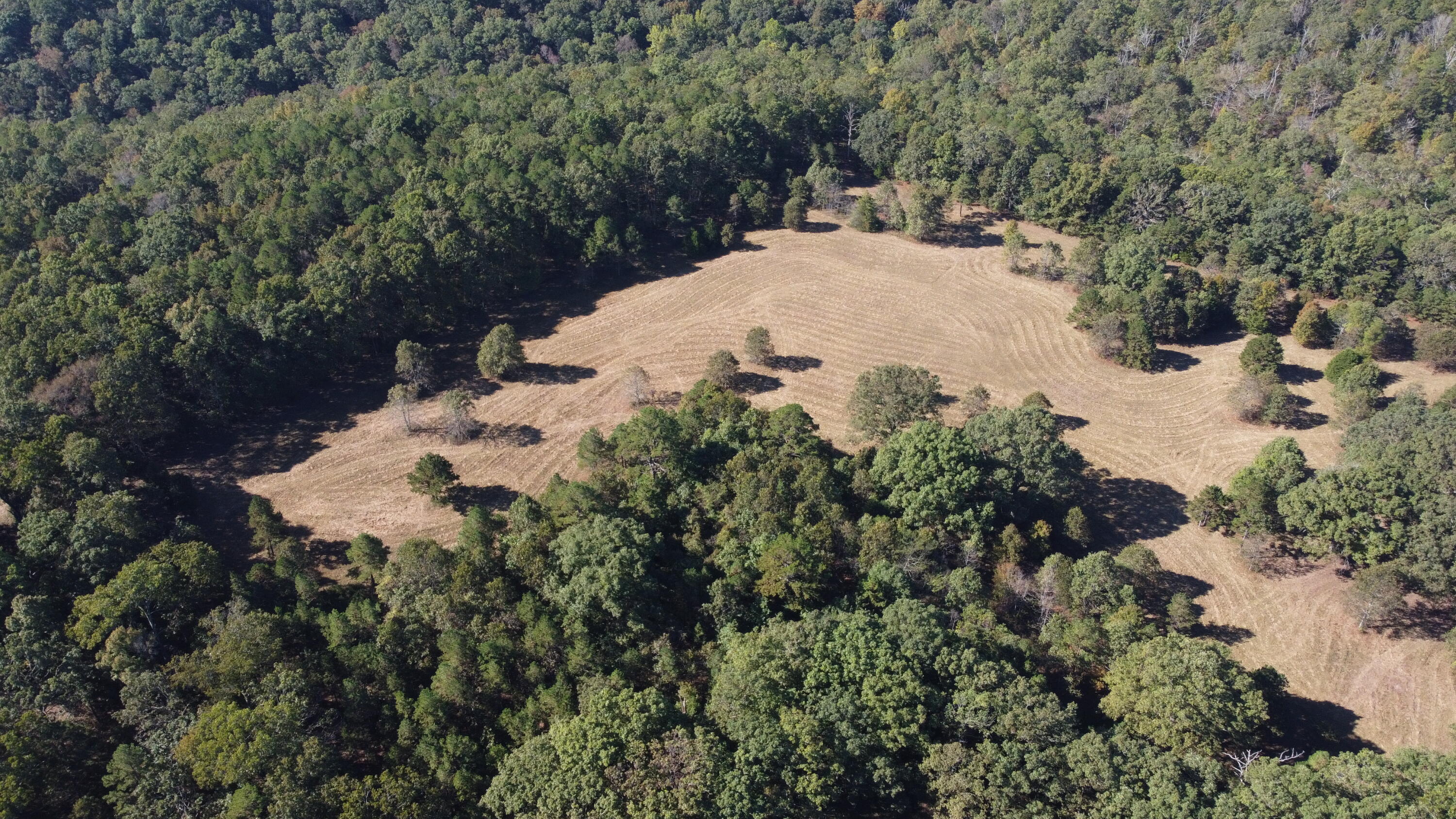 Photo 52 - Land for sale – 34771  Mo-14   Ava, MO
