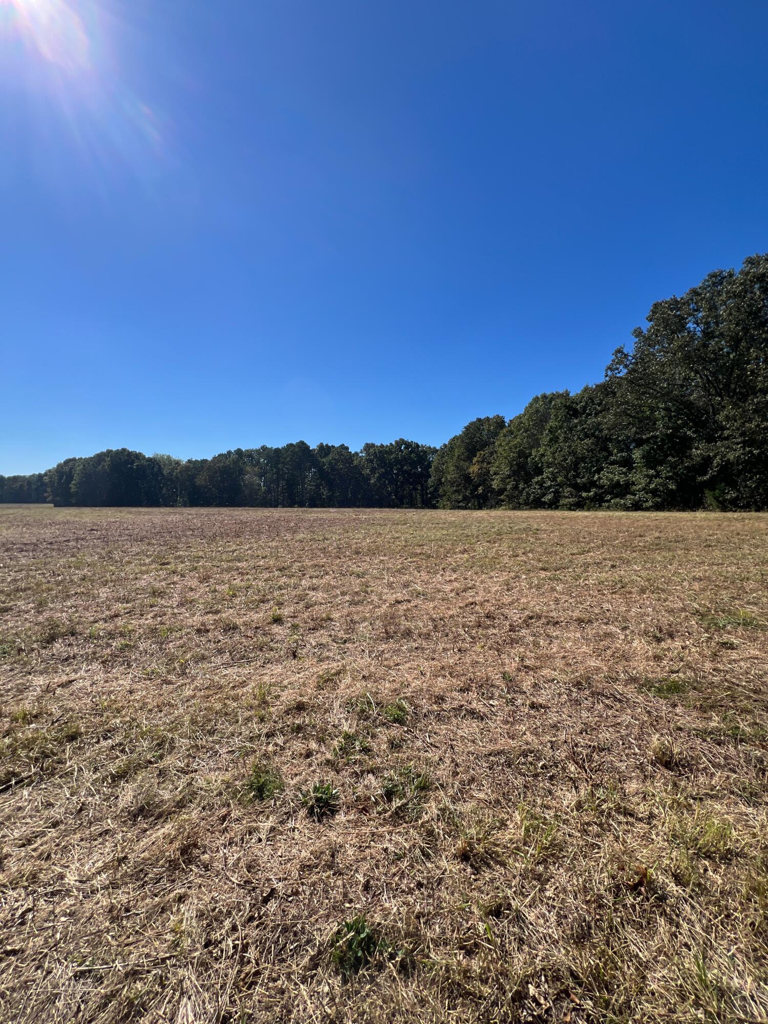 Photo 124 - Land for sale – 34771  Mo-14   Ava, MO