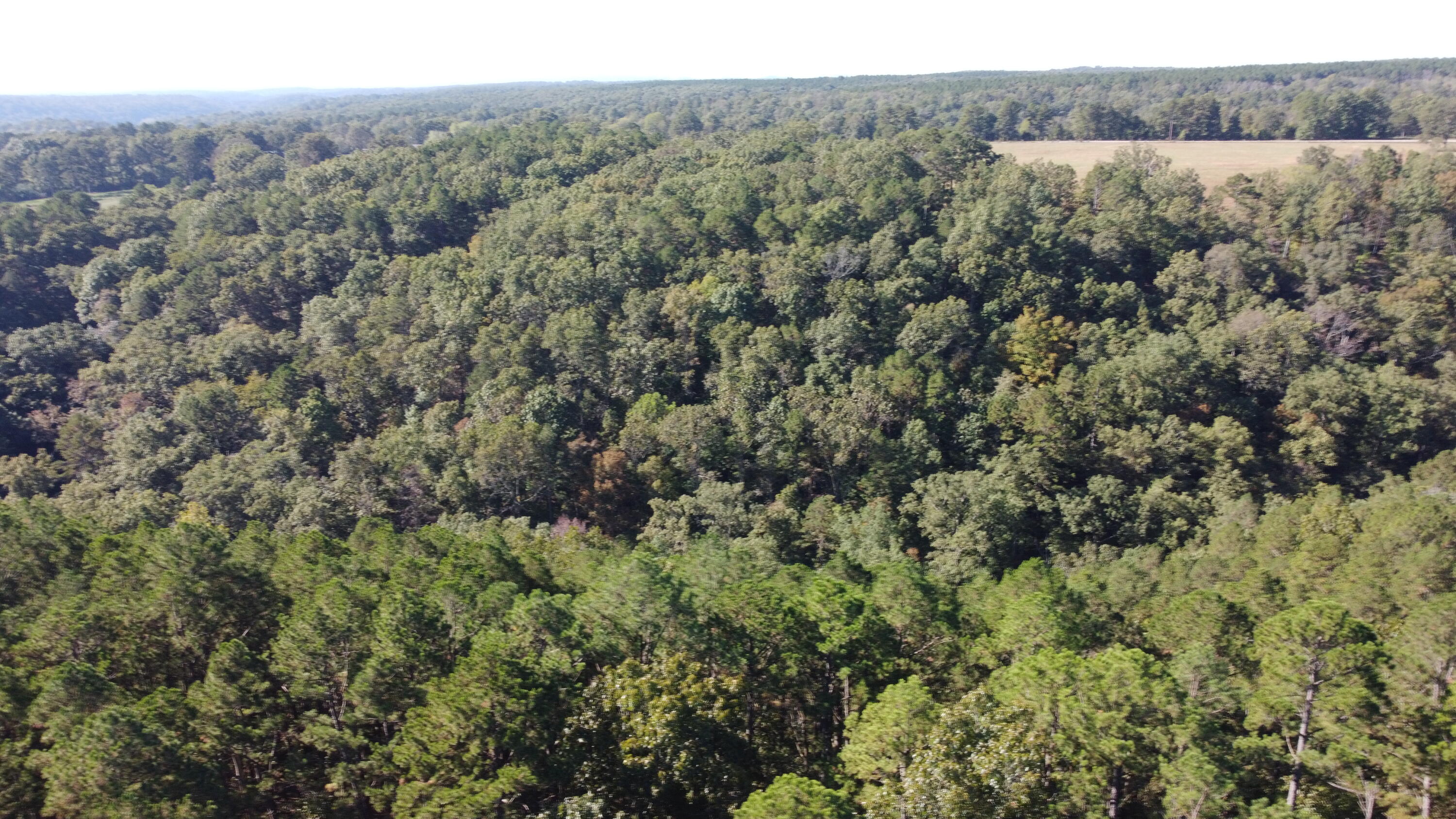 Photo 36 - Land for sale – 34771  Mo-14   Ava, MO